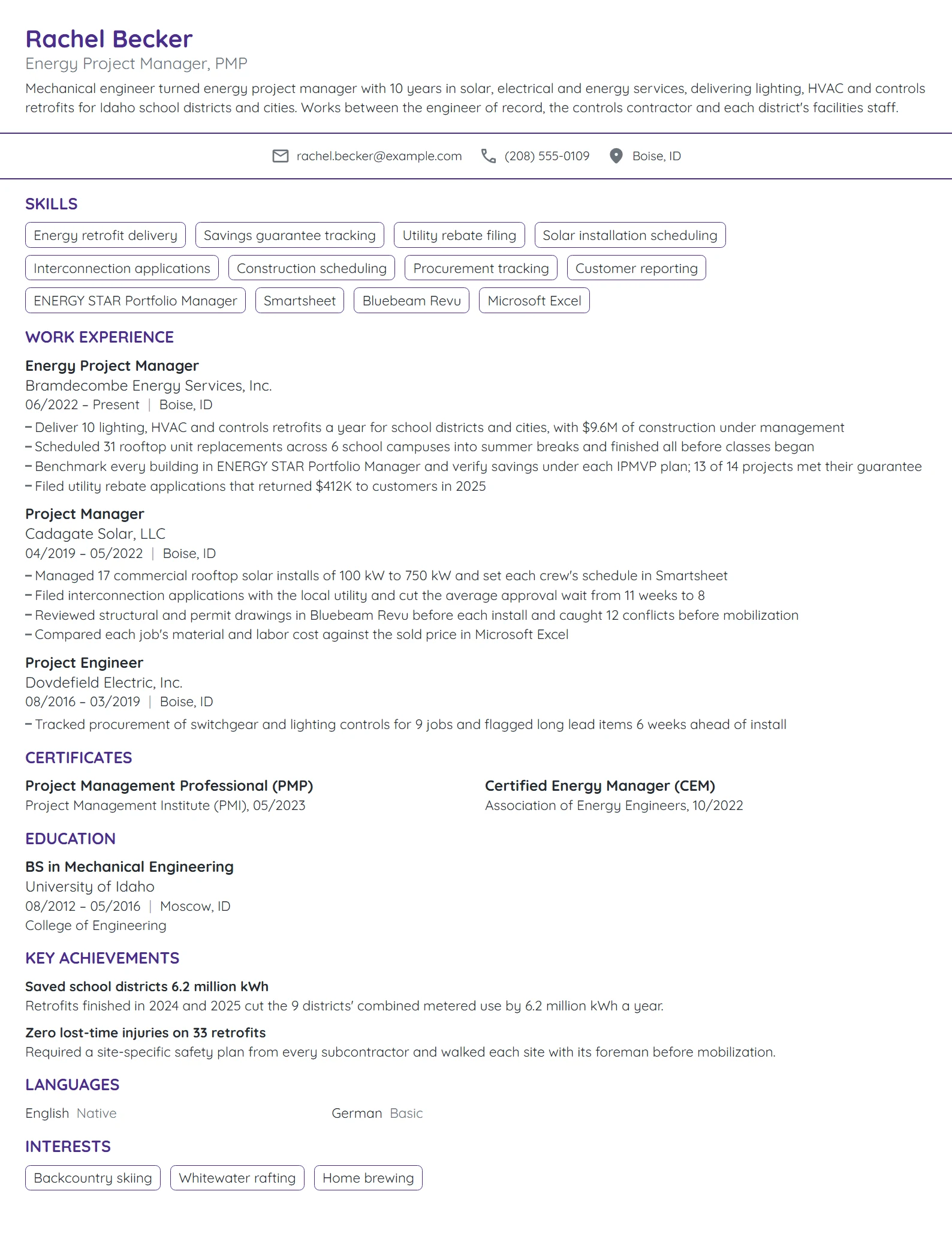 Energy Project Manager resume example