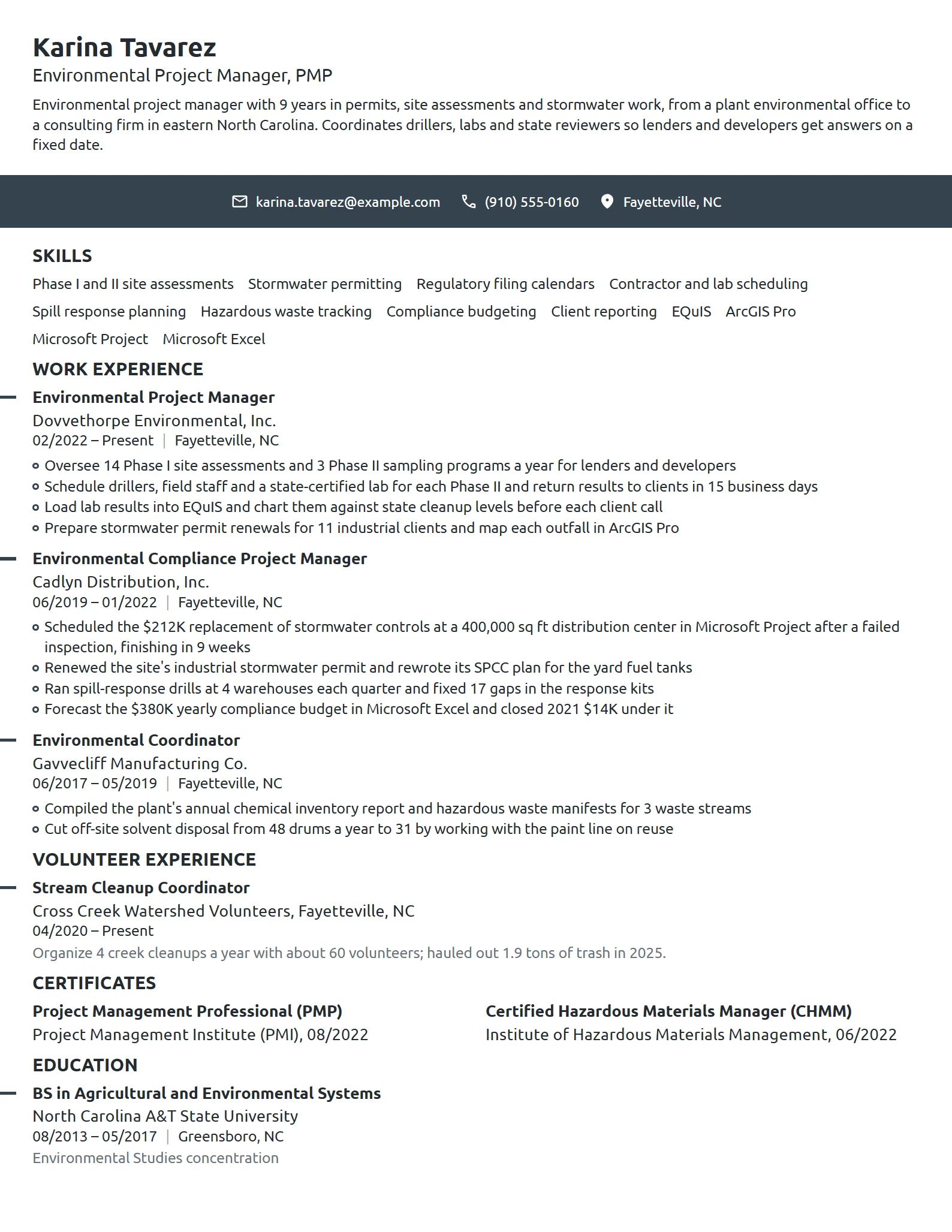 Environmental Project Manager resume example
