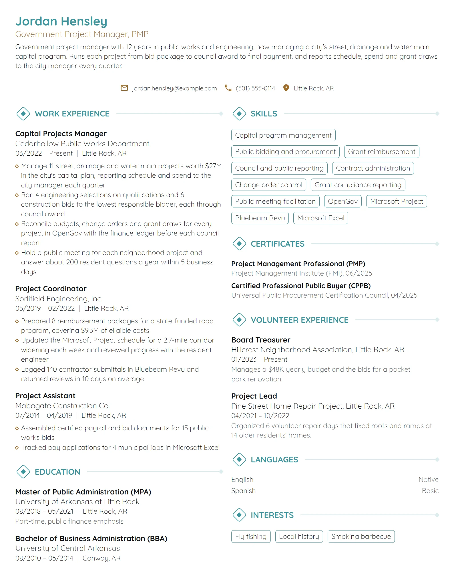Government Project Manager resume example