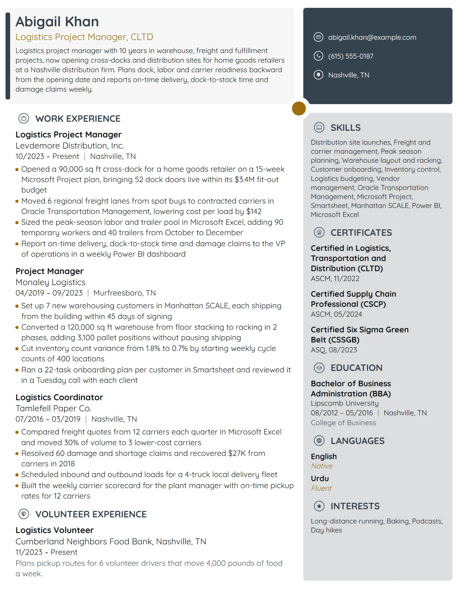 Logistics Project Manager resume example
