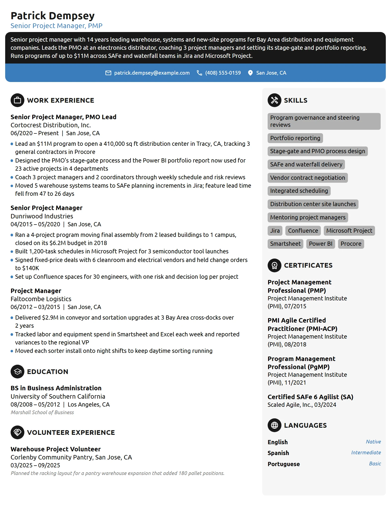 Senior Project Manager resume example
