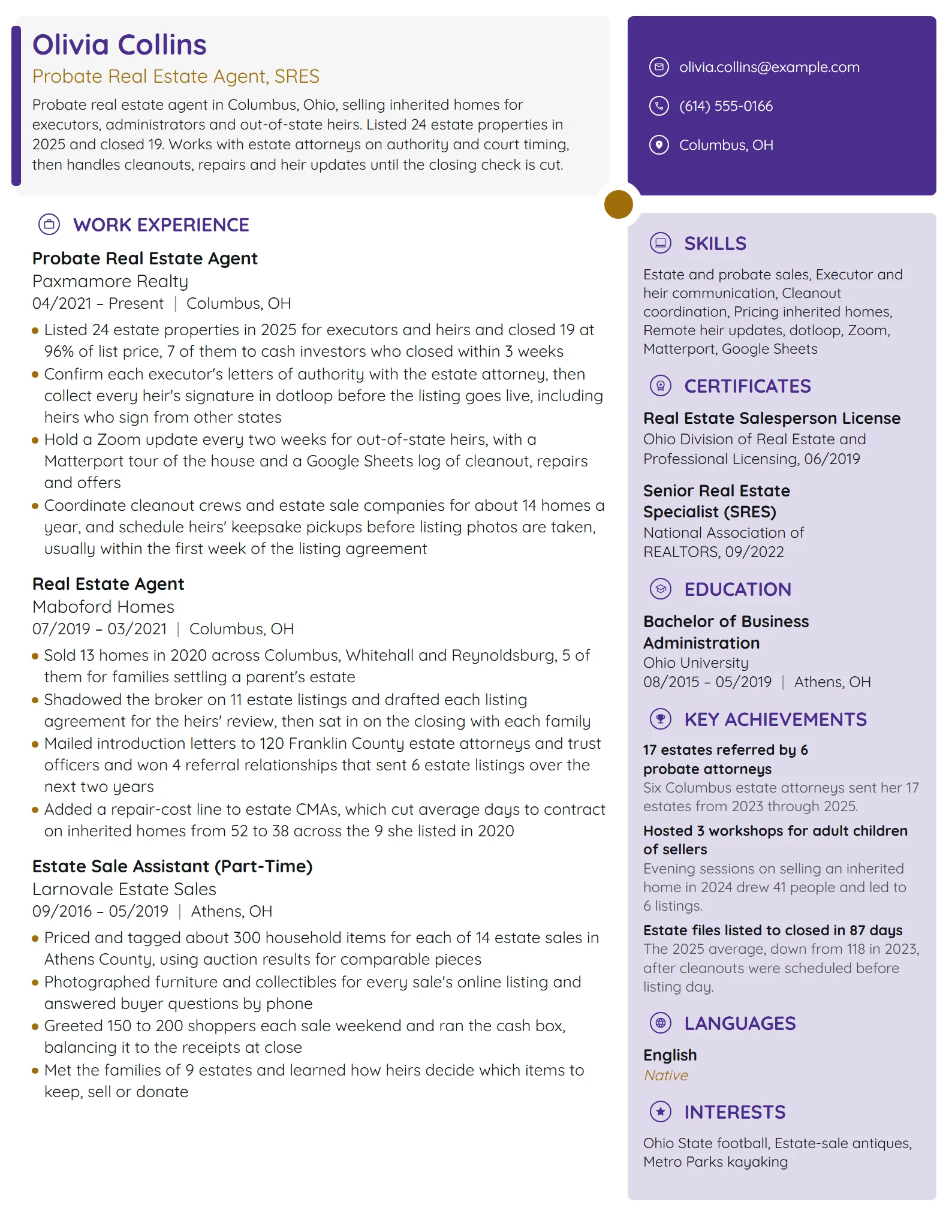 Probate Real Estate Agent resume example