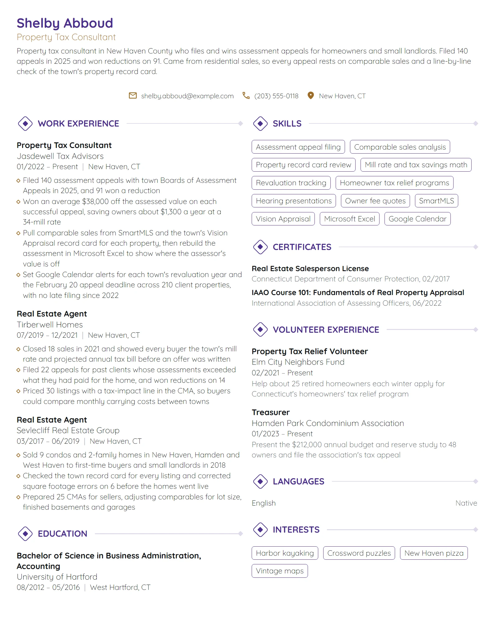 Property Tax Consultant resume example