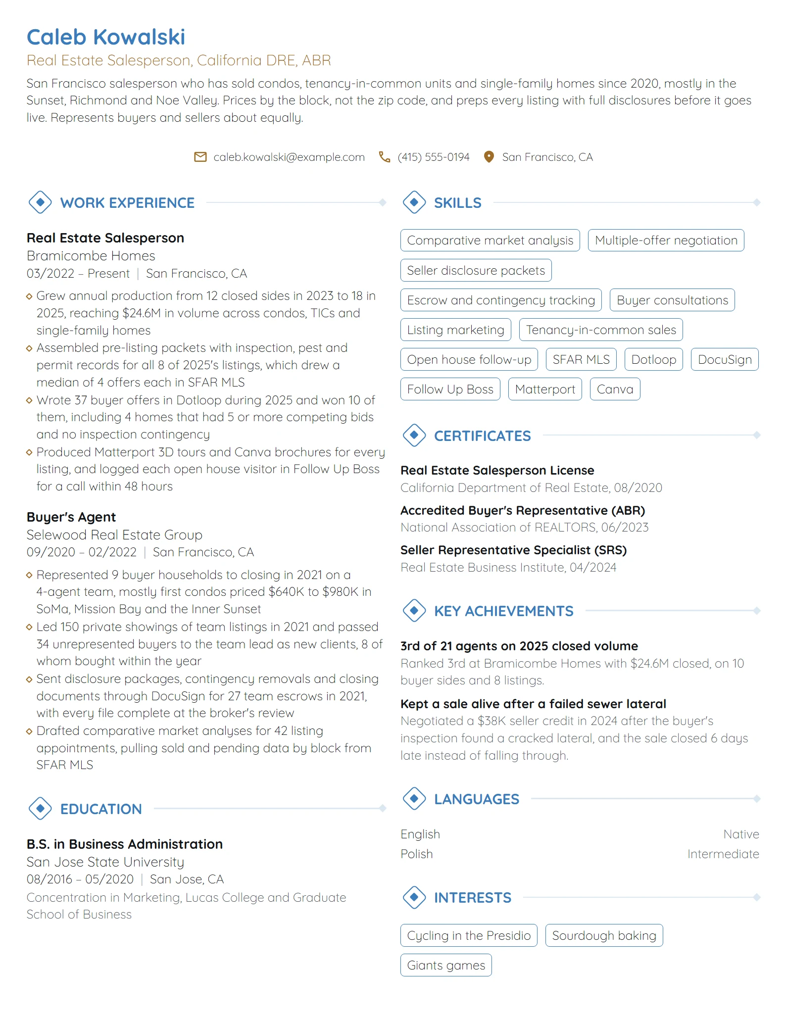 Real Estate Salesperson resume example