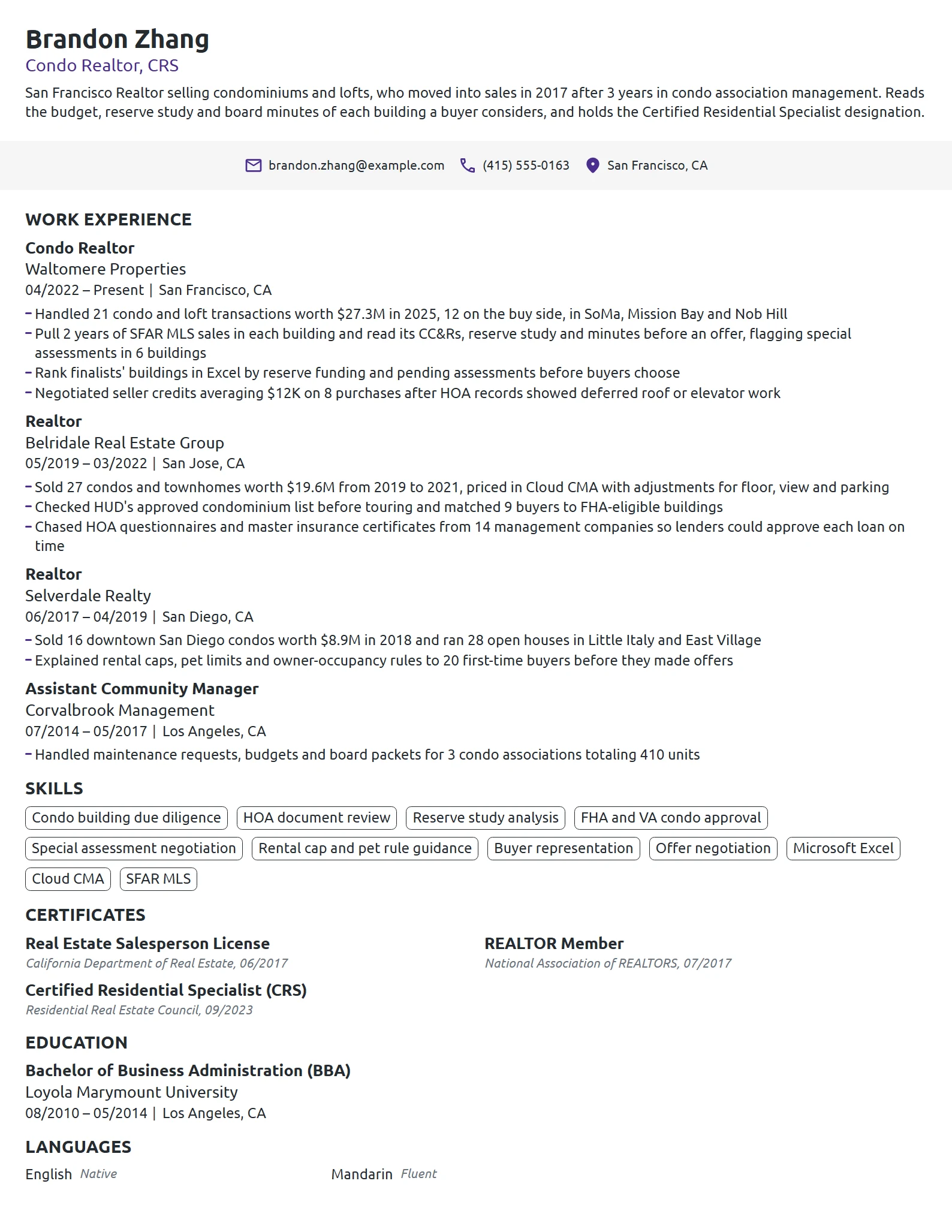 Condo Realtor resume example