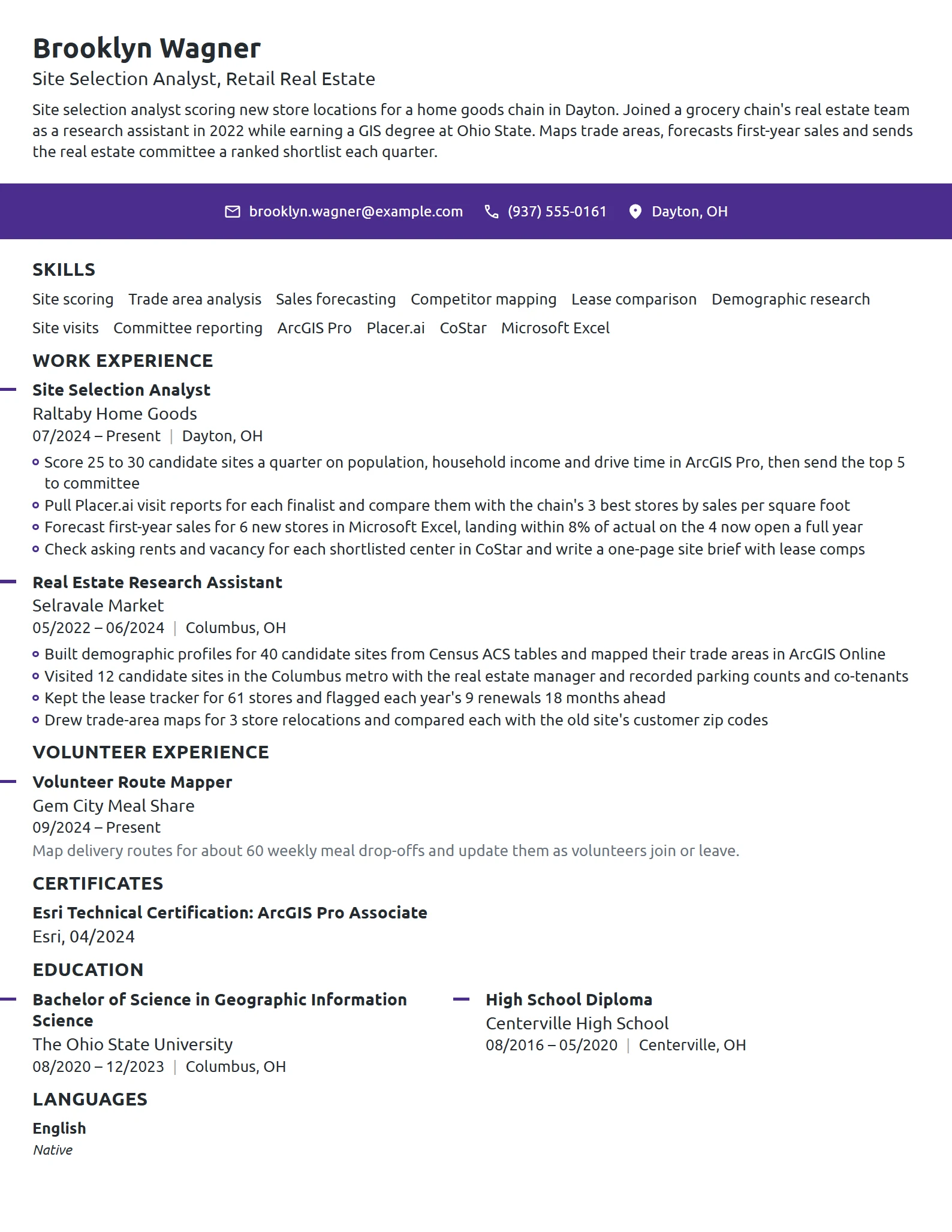 Site Selection Analyst resume example
