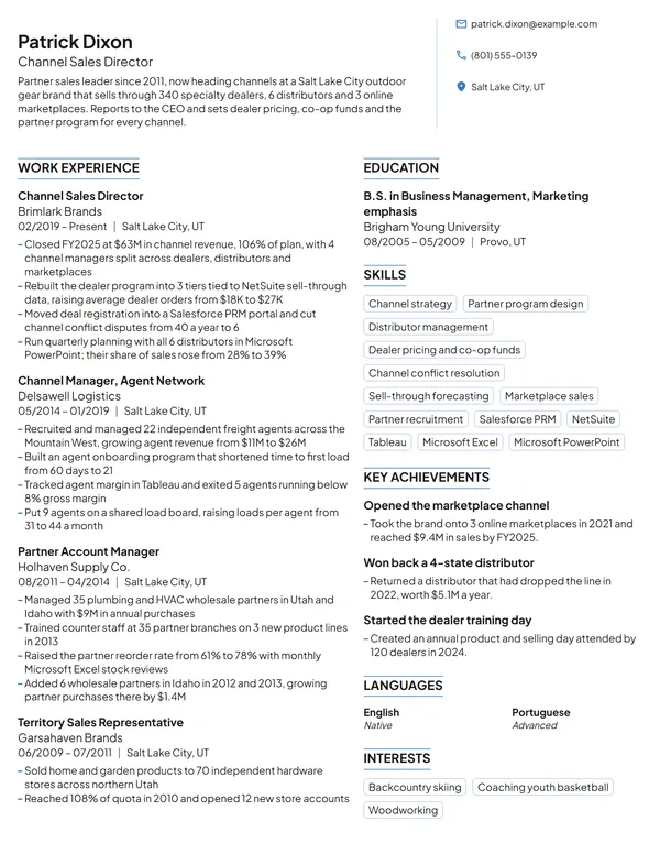 Channel Sales Director resume example