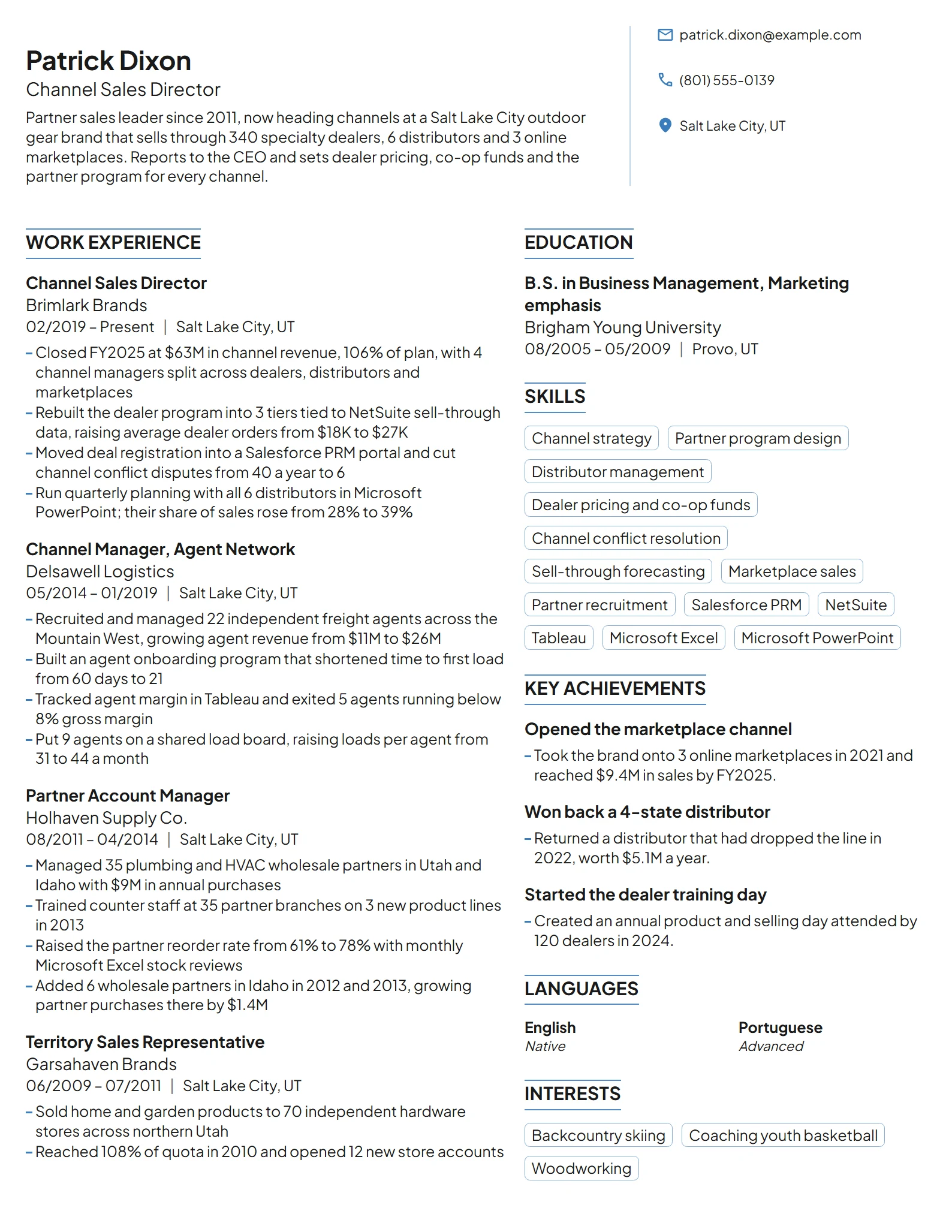 Channel Sales Director resume example