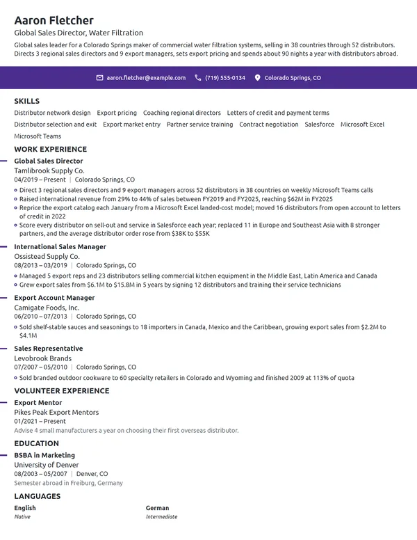 Global Sales Director resume example