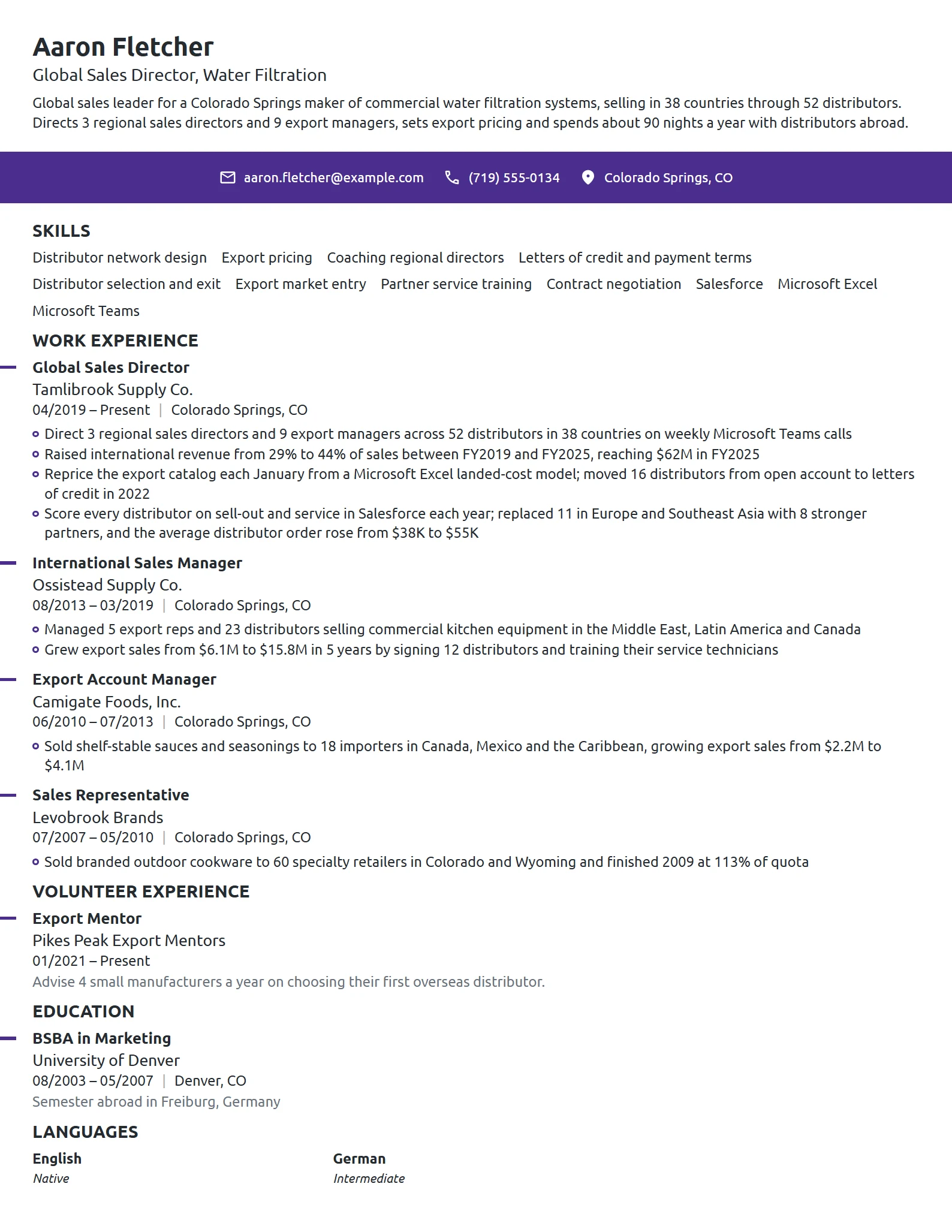 Global Sales Director resume example
