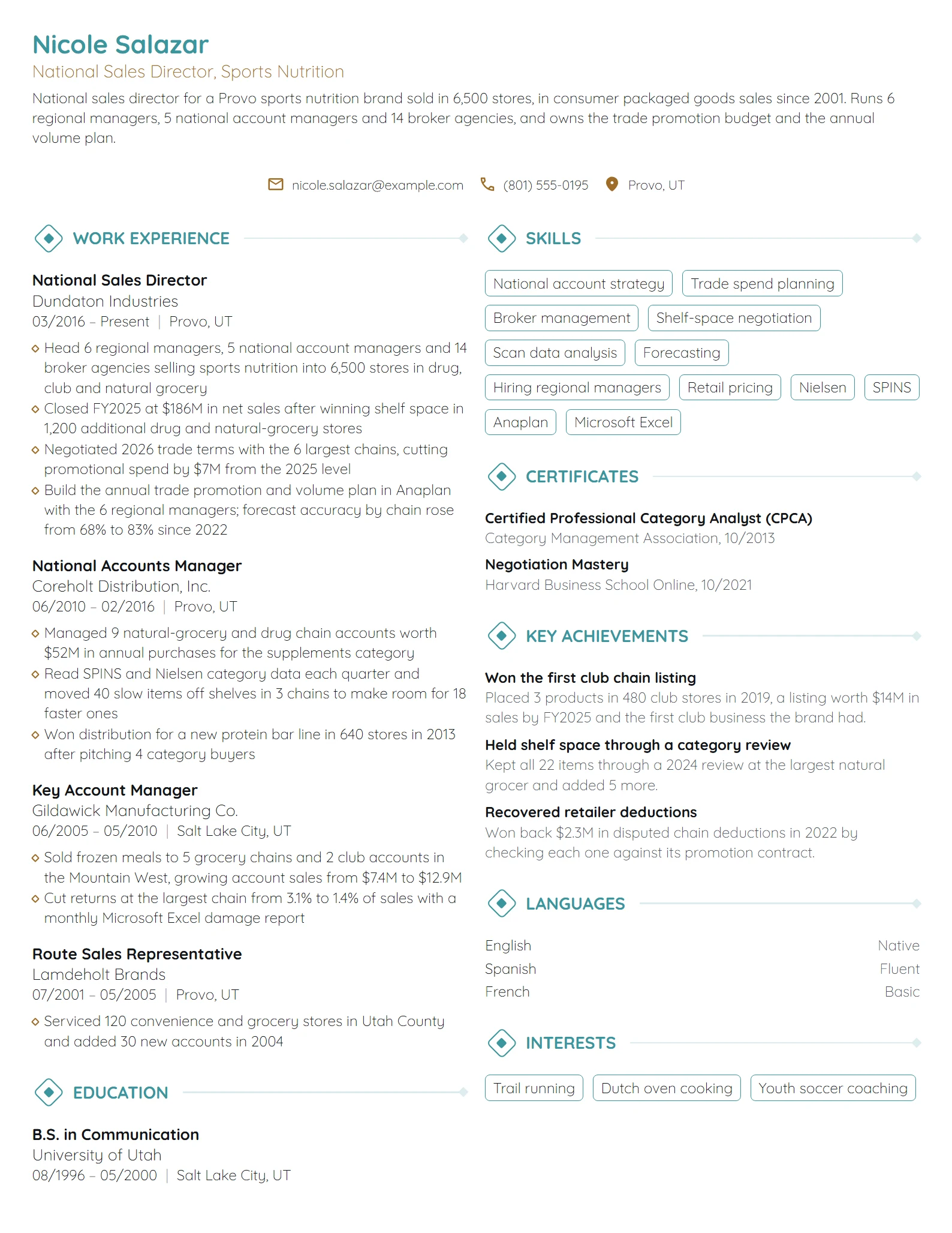 National Sales Director resume example