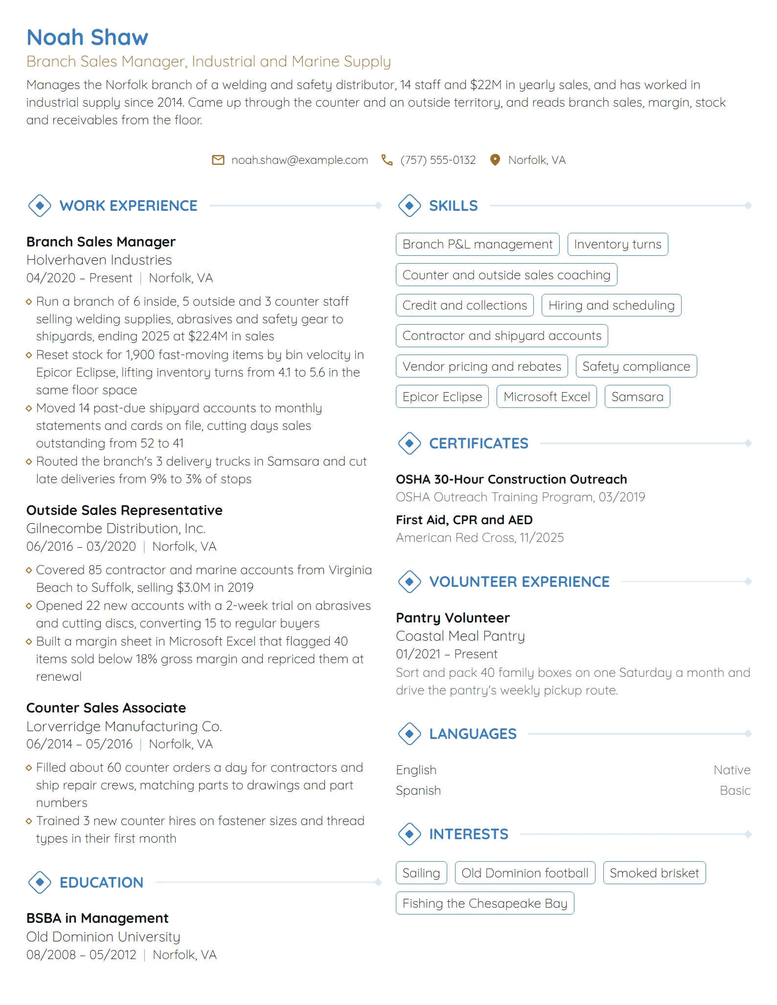Branch Sales Manager resume example