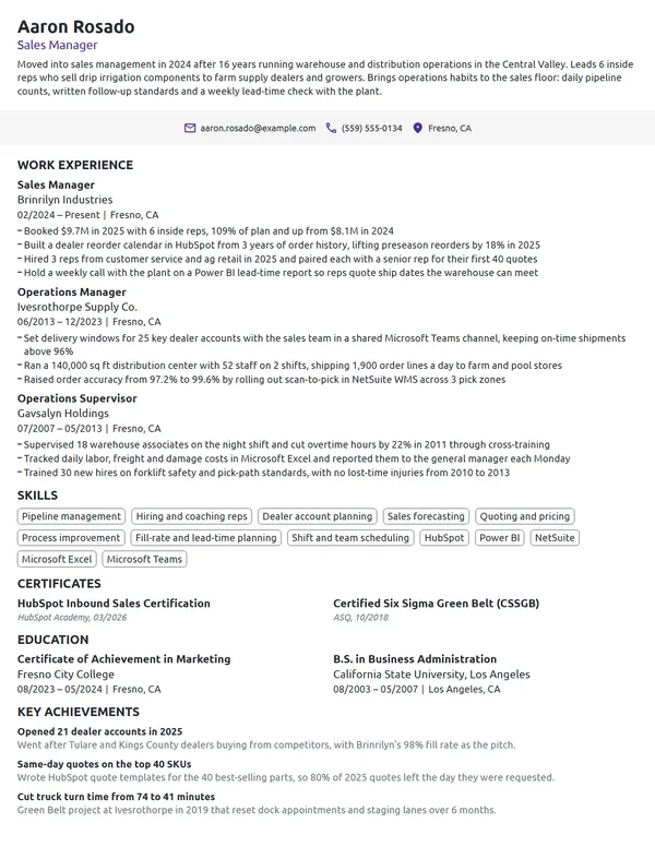 Career Change Sales Manager resume example