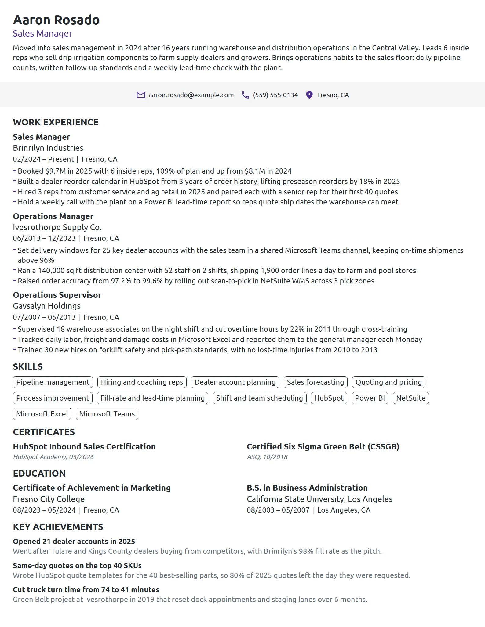 Career Change Sales Manager resume example