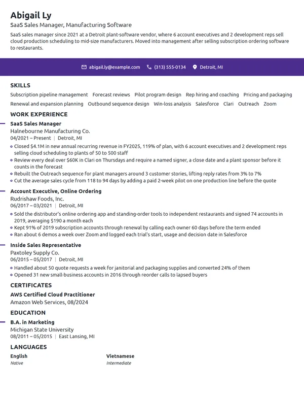 SaaS Sales Manager resume example