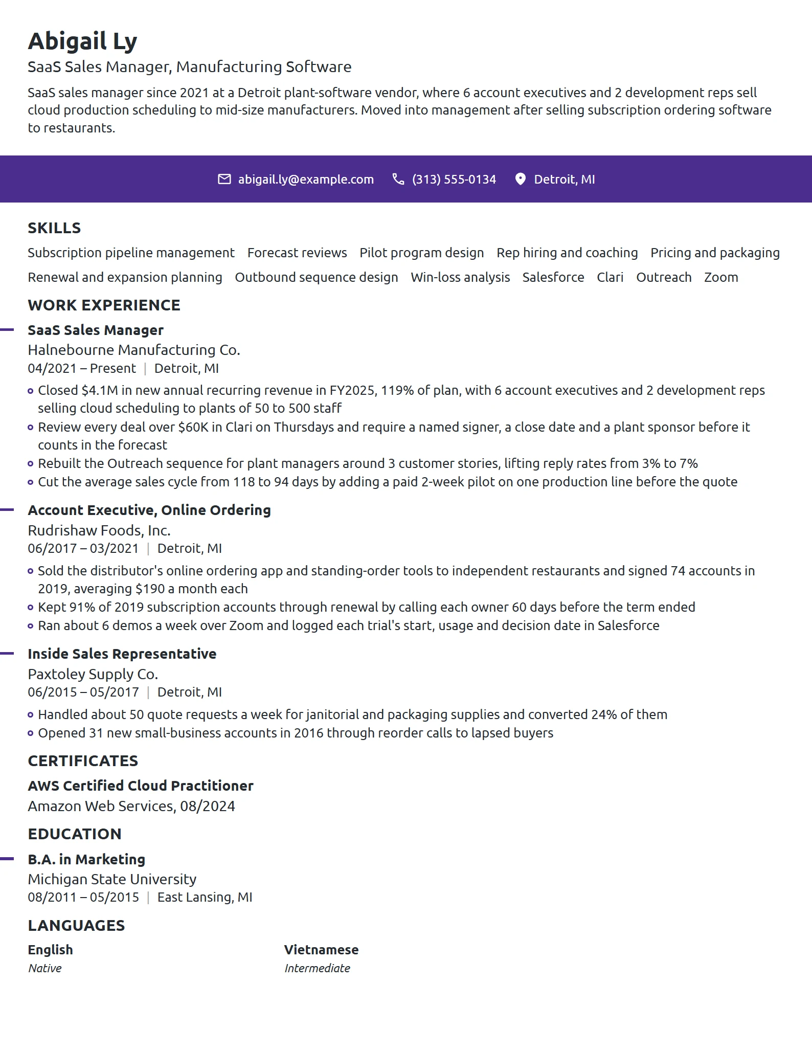 SaaS Sales Manager resume example