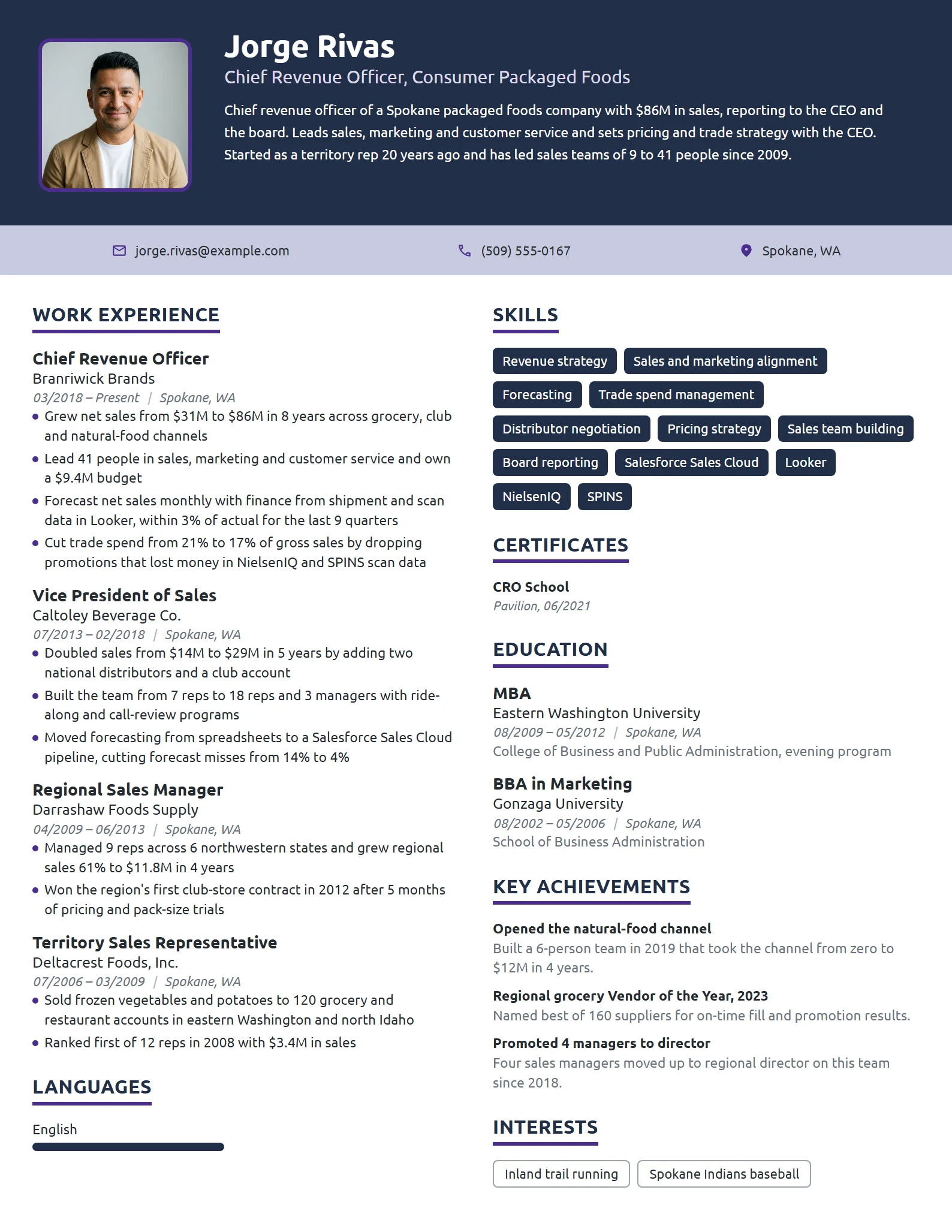 Chief Revenue Officer resume example