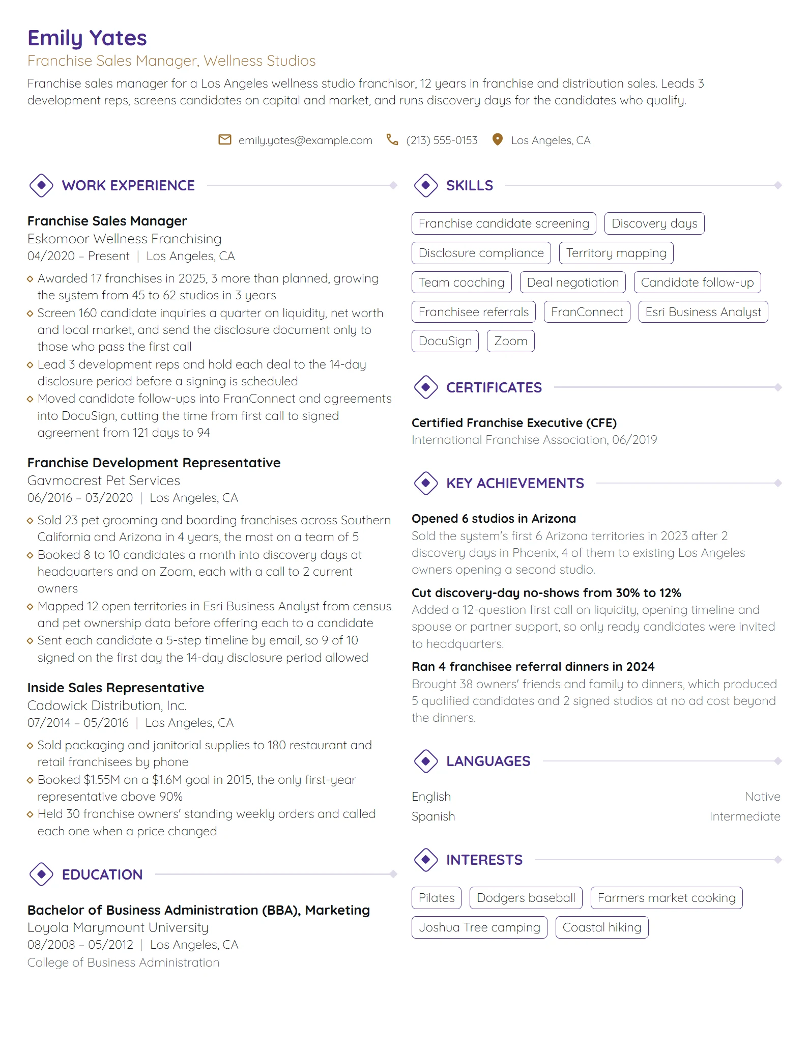 Franchise Sales Manager resume example