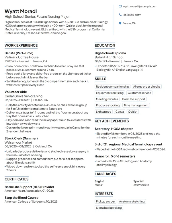 Nursing Scholarship resume example
