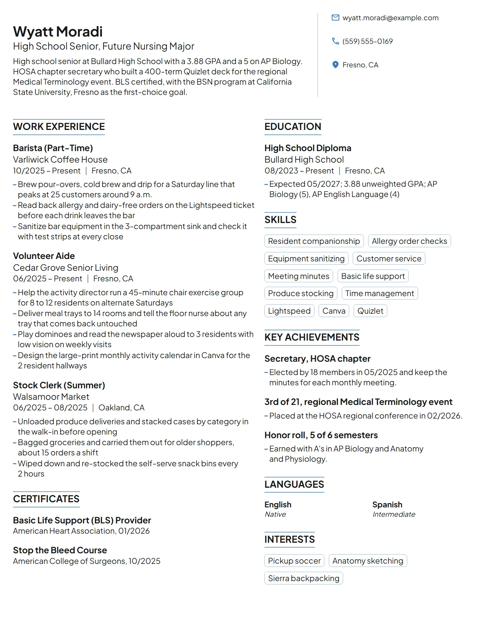 Nursing Scholarship resume example