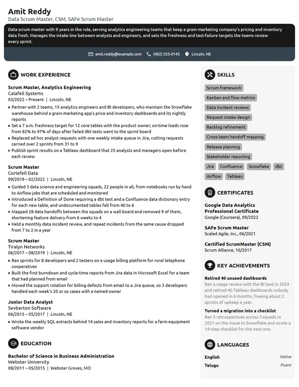 Data Scrum Master resume example