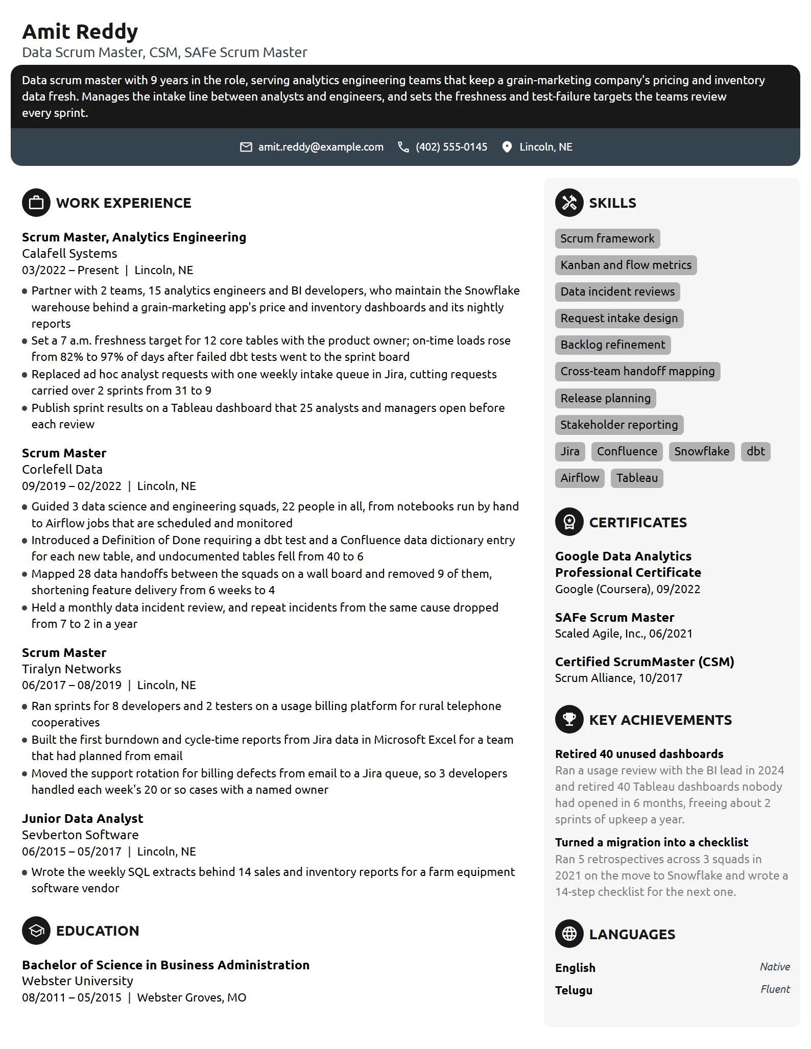 Data Scrum Master resume example