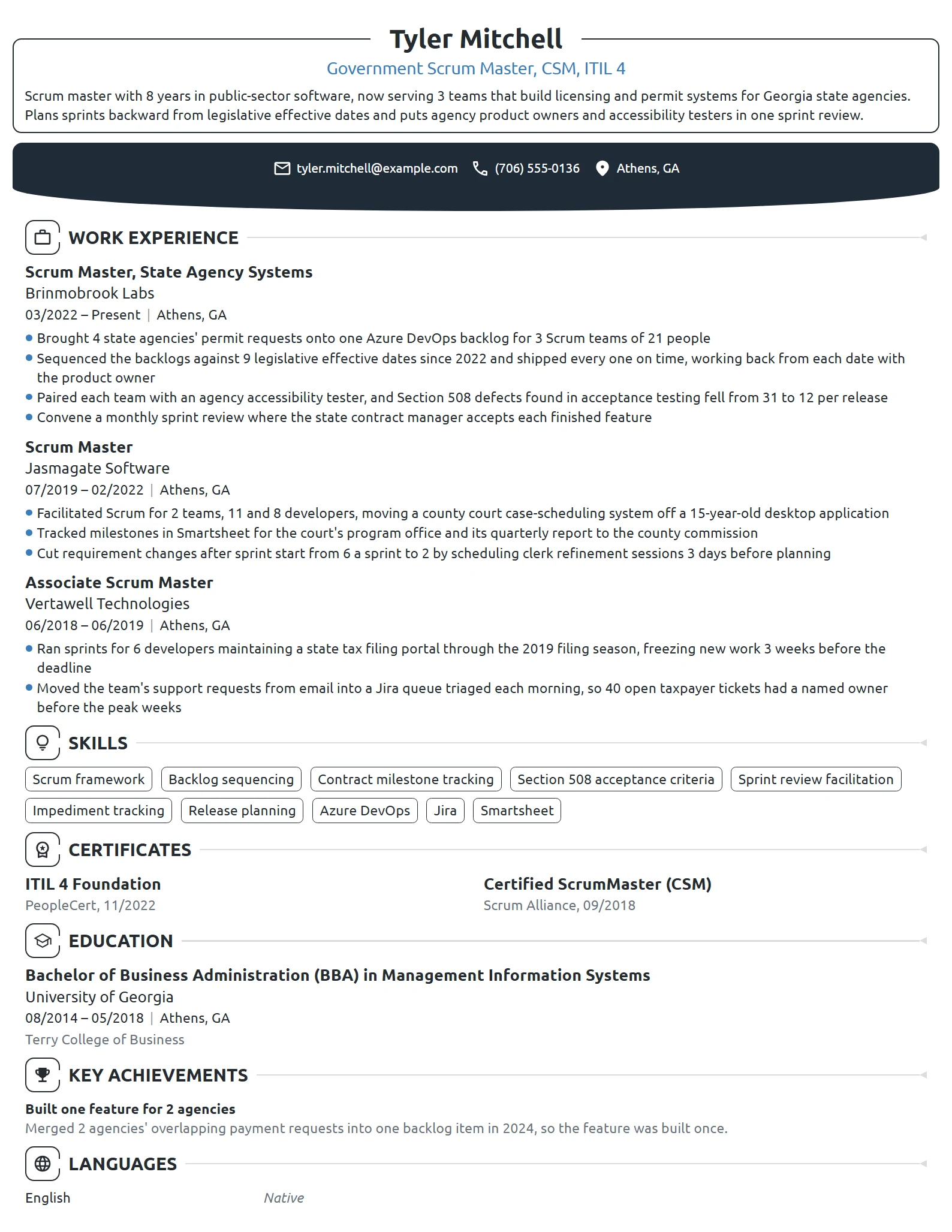 Government Scrum Master resume example