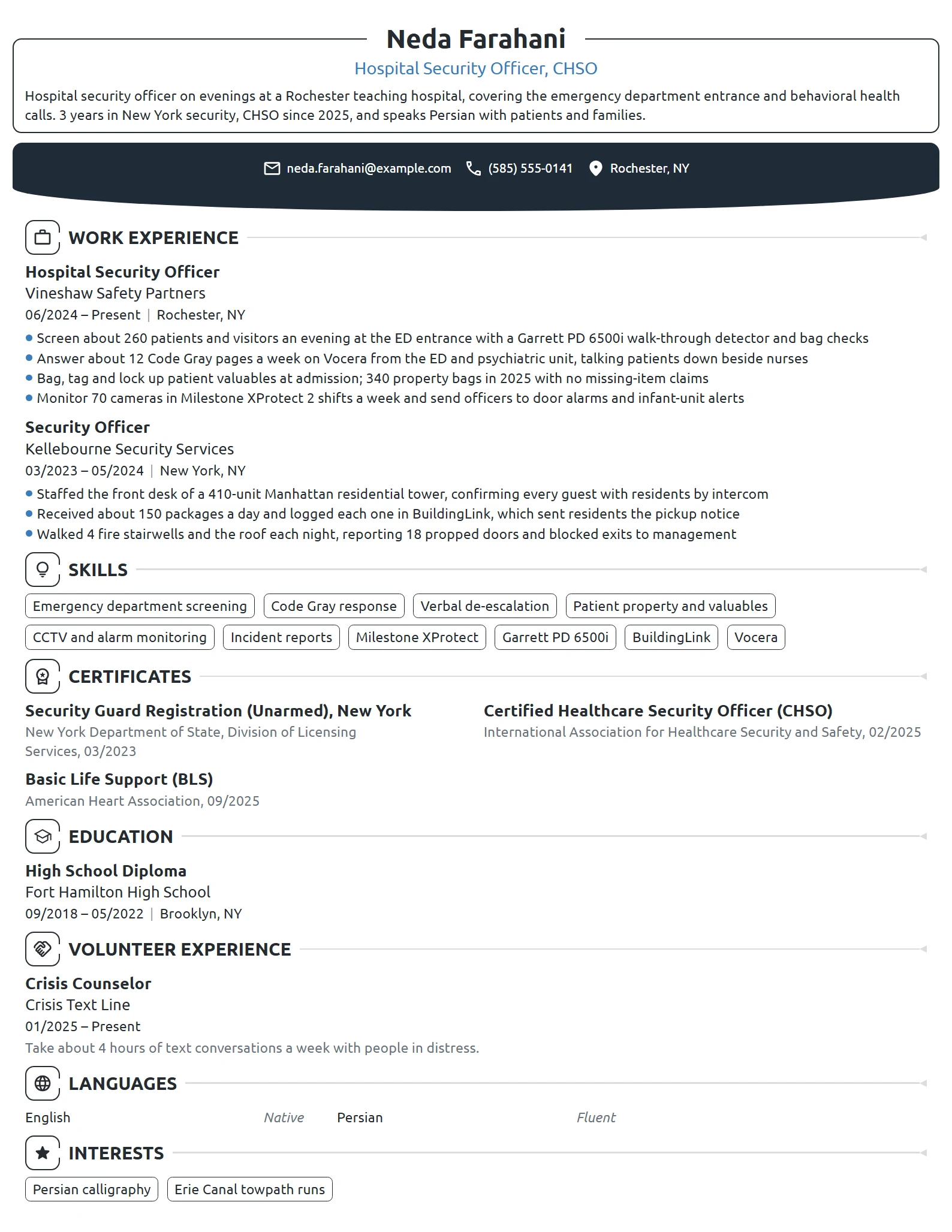 Hospital Security Officer resume example