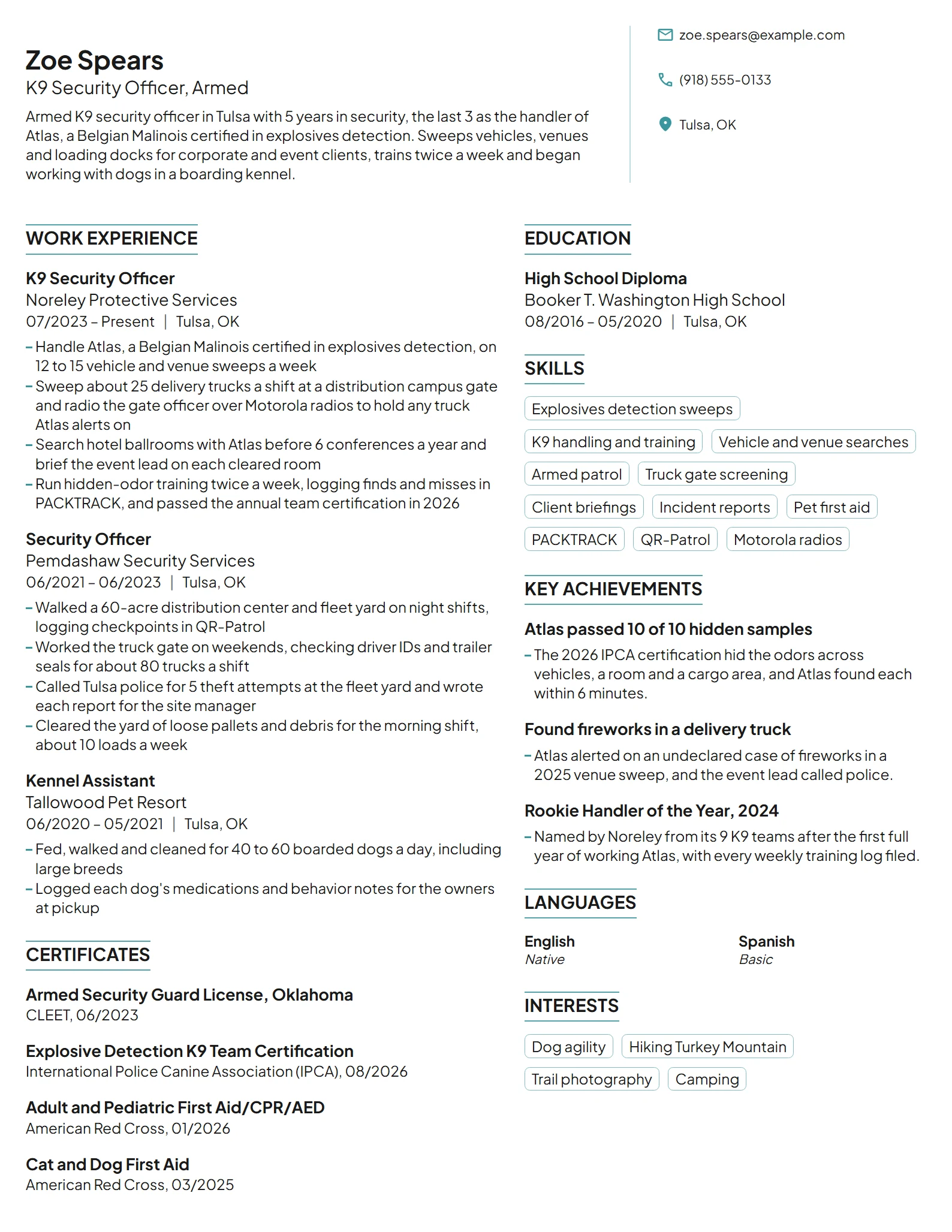 K9 Security Officer resume example