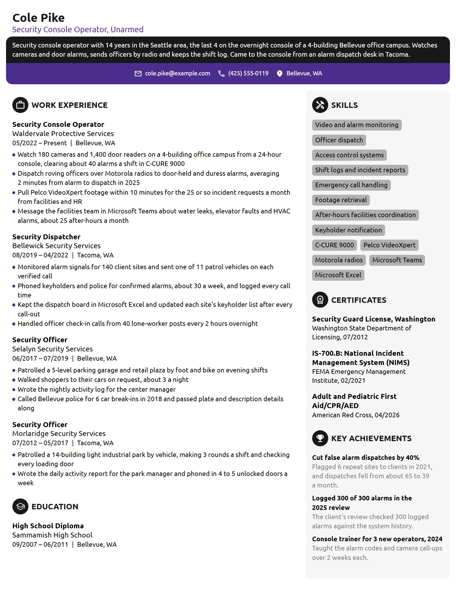 Security Console Operator resume example