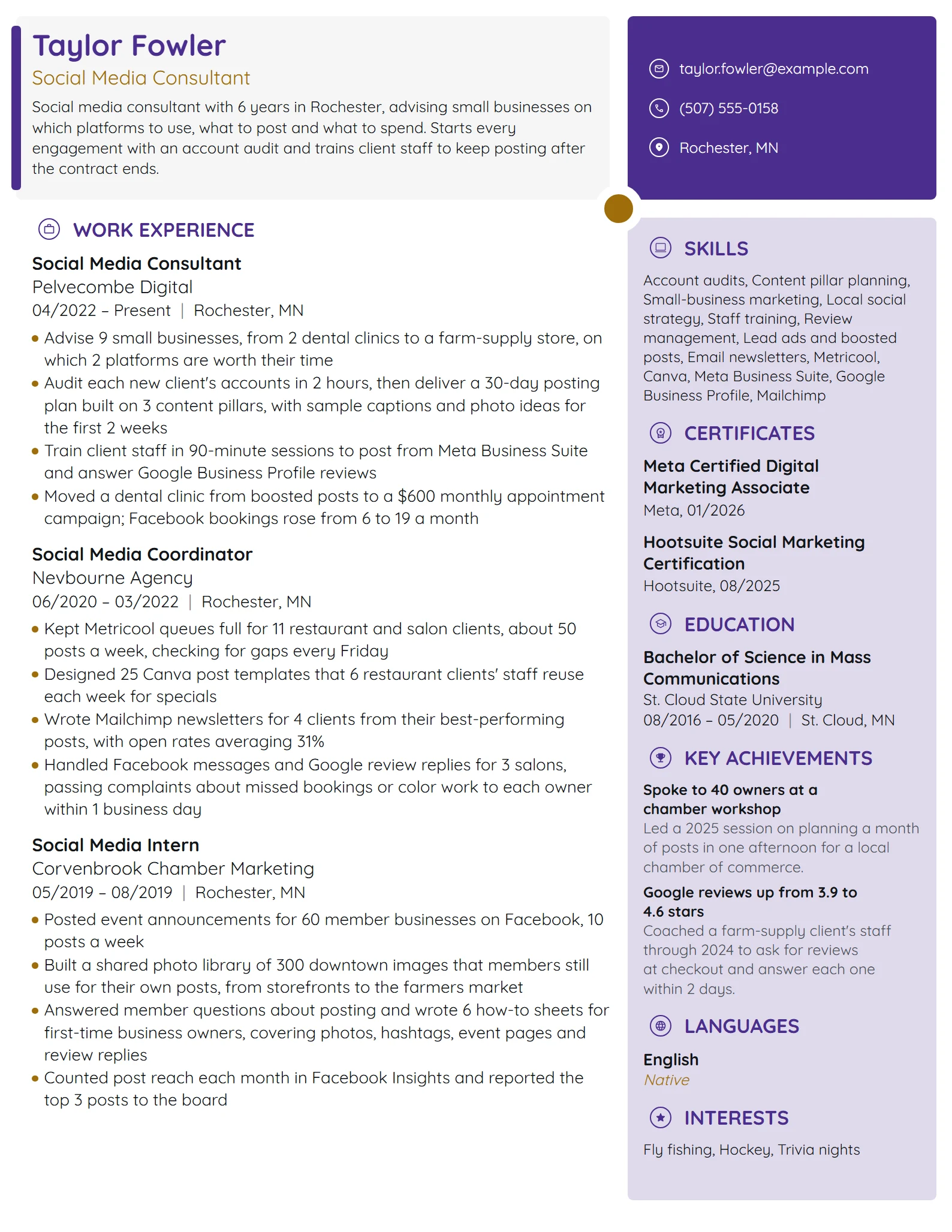 Social Media Consultant resume example
