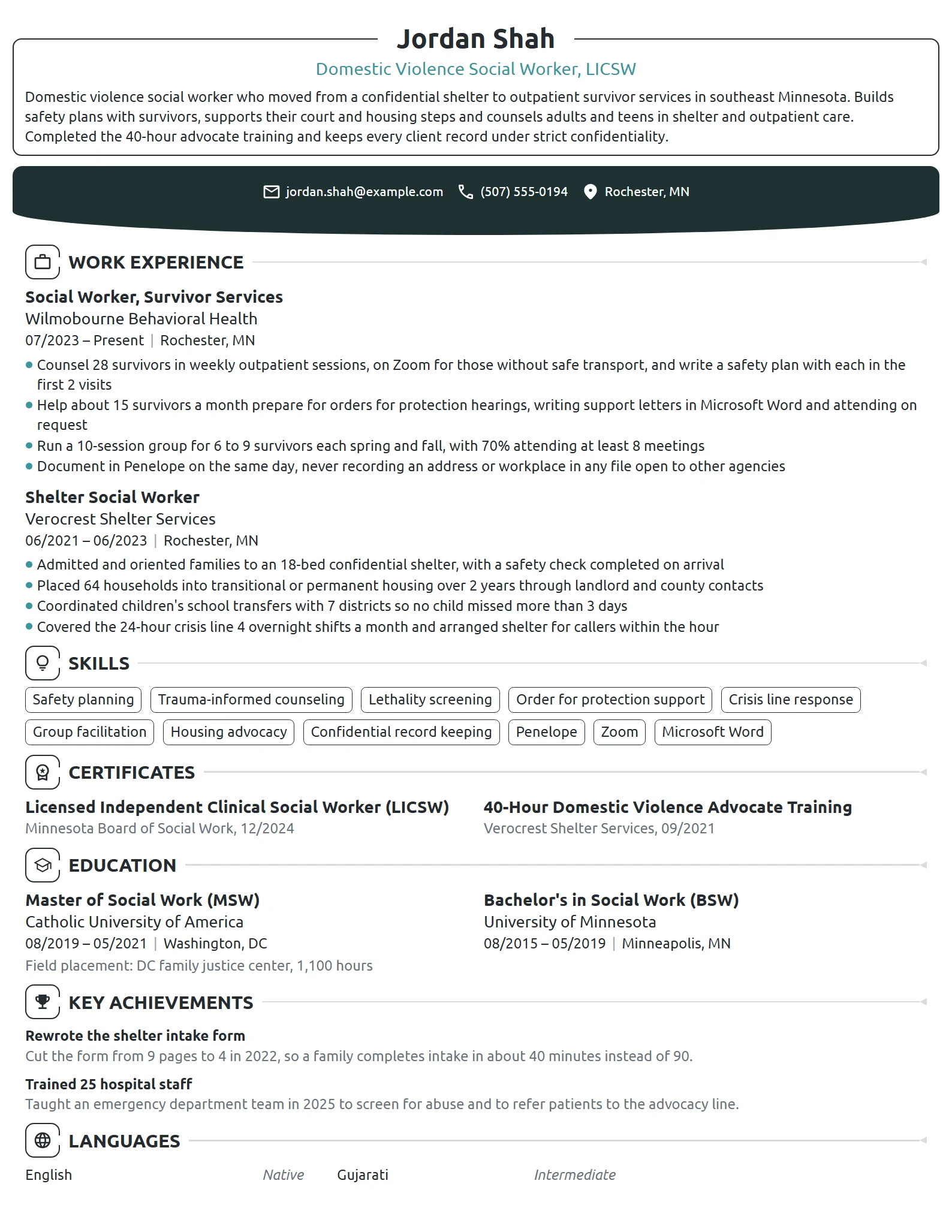 Domestic Violence Social Worker resume example