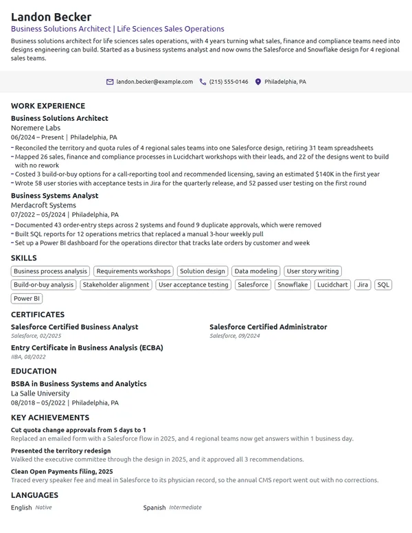 Business Solutions Architect resume example