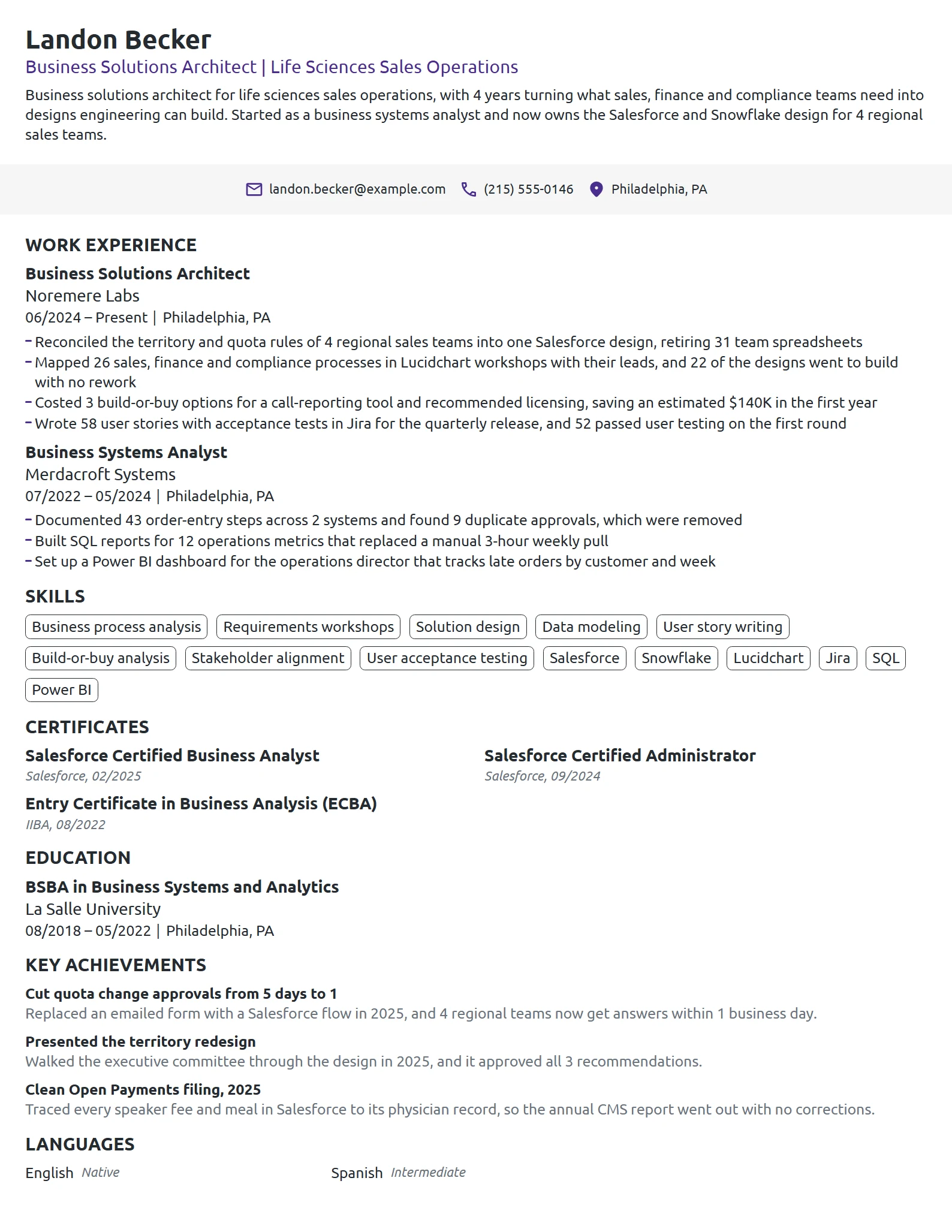 Business Solutions Architect resume example
