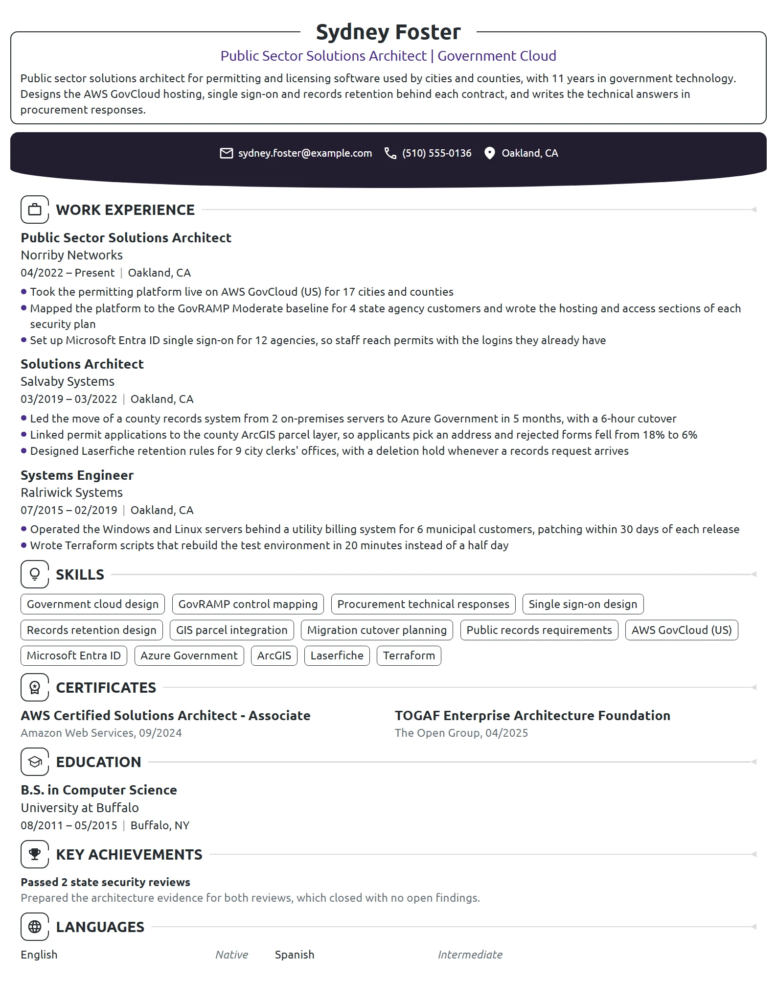 Public Sector Solutions Architect resume example