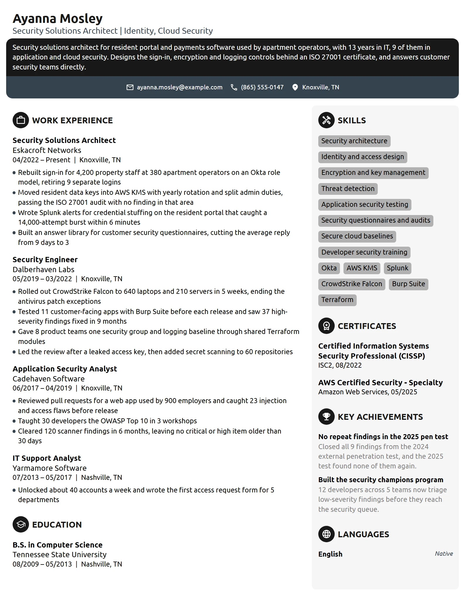 Security Solutions Architect resume example