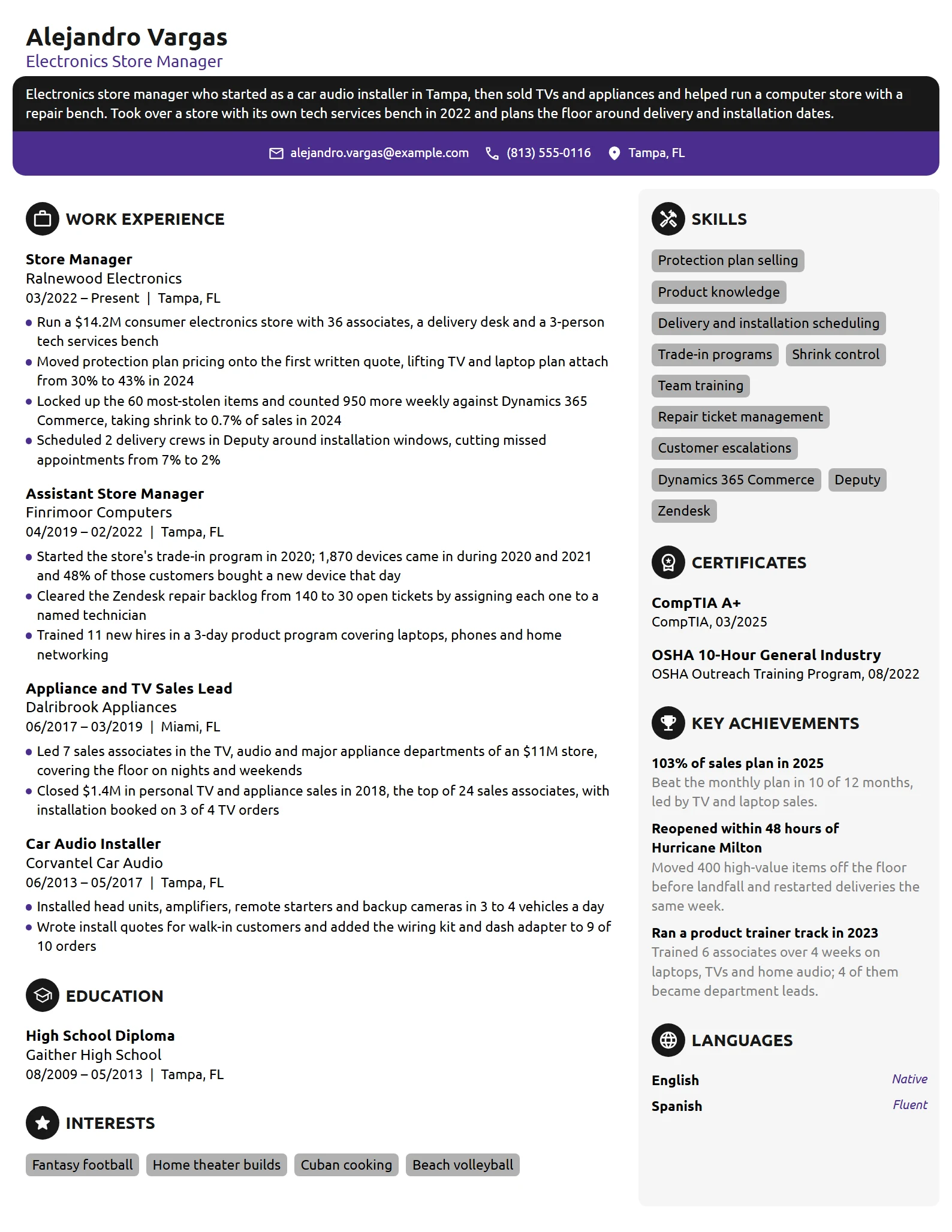 Electronics Store Manager resume example
