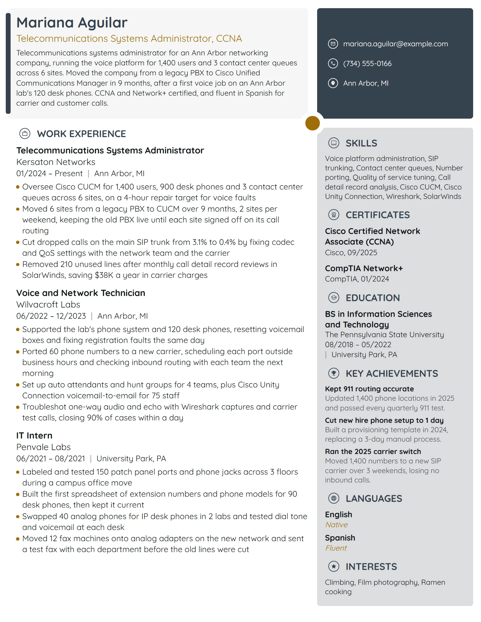Telecommunications System Administrator resume example