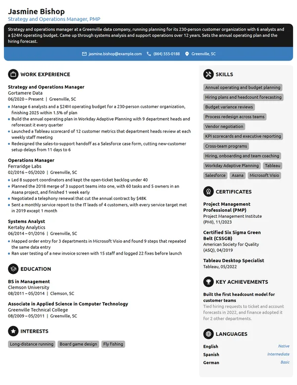 Strategy and Operations Manager resume example