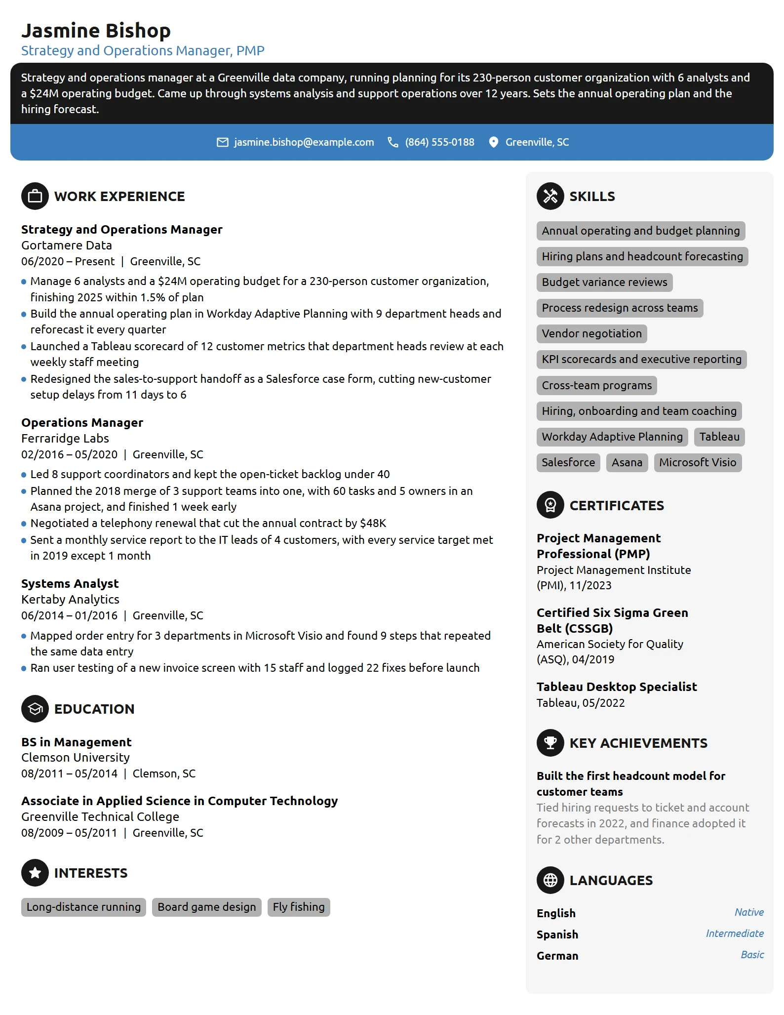 Strategy and Operations Manager resume example