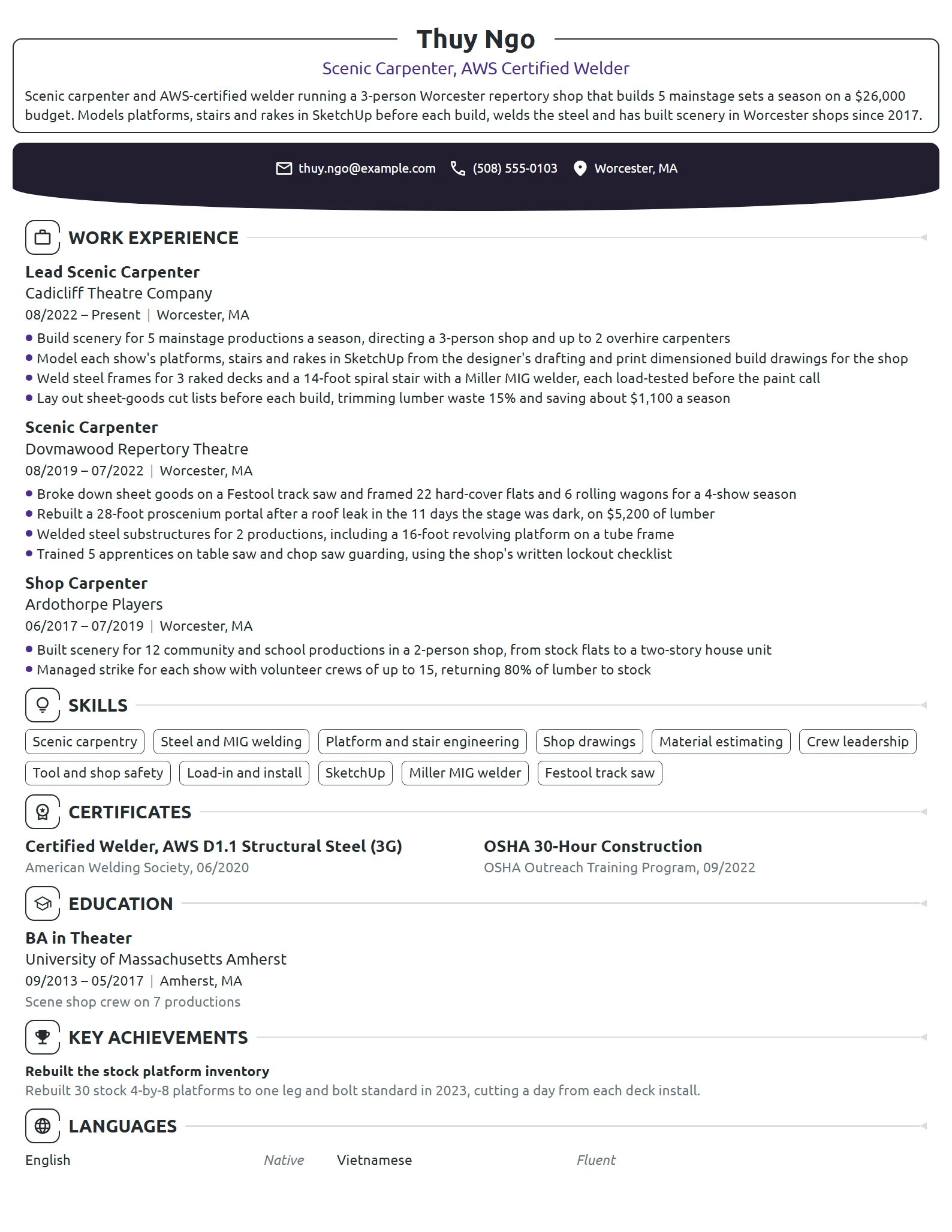 Scenic Carpenter resume example