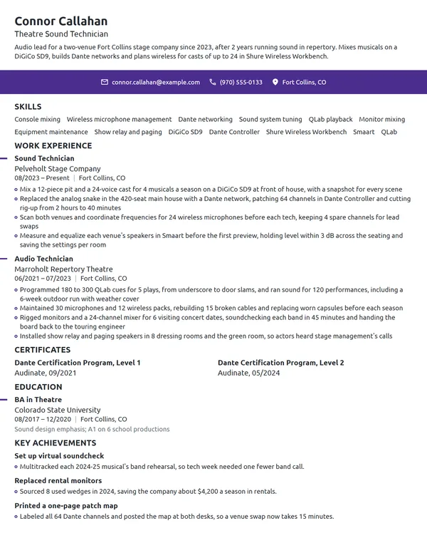 Theatre Sound Technician resume example