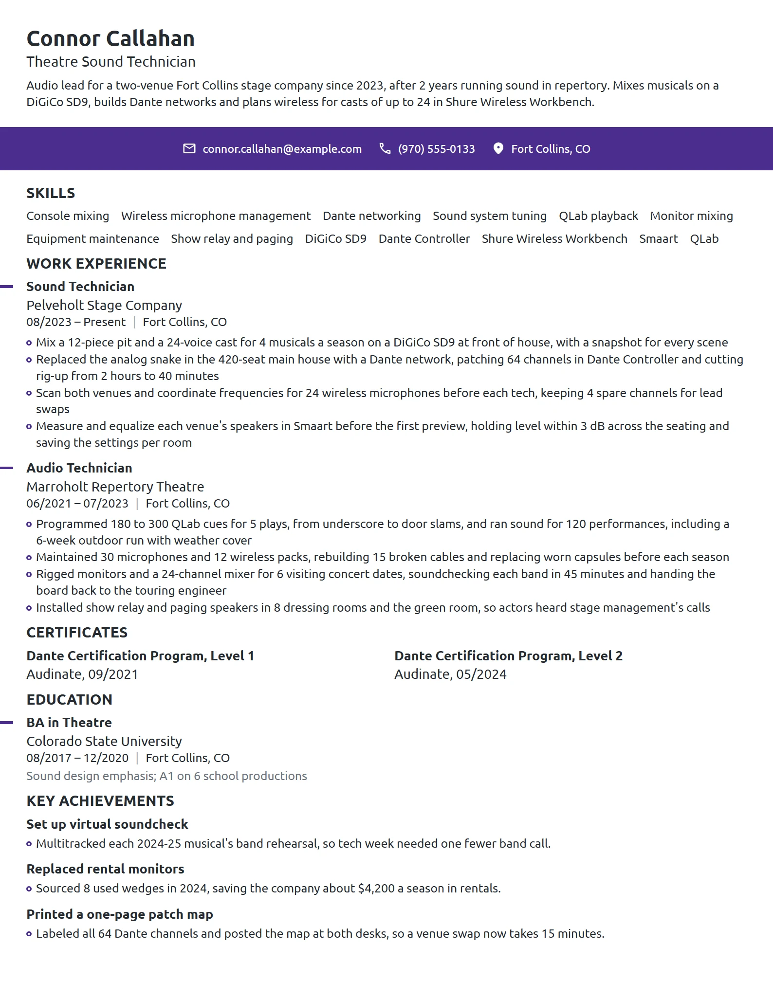 Theatre Sound Technician resume example