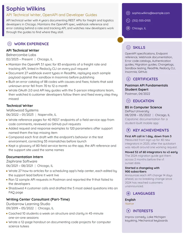 API Technical Writer resume example