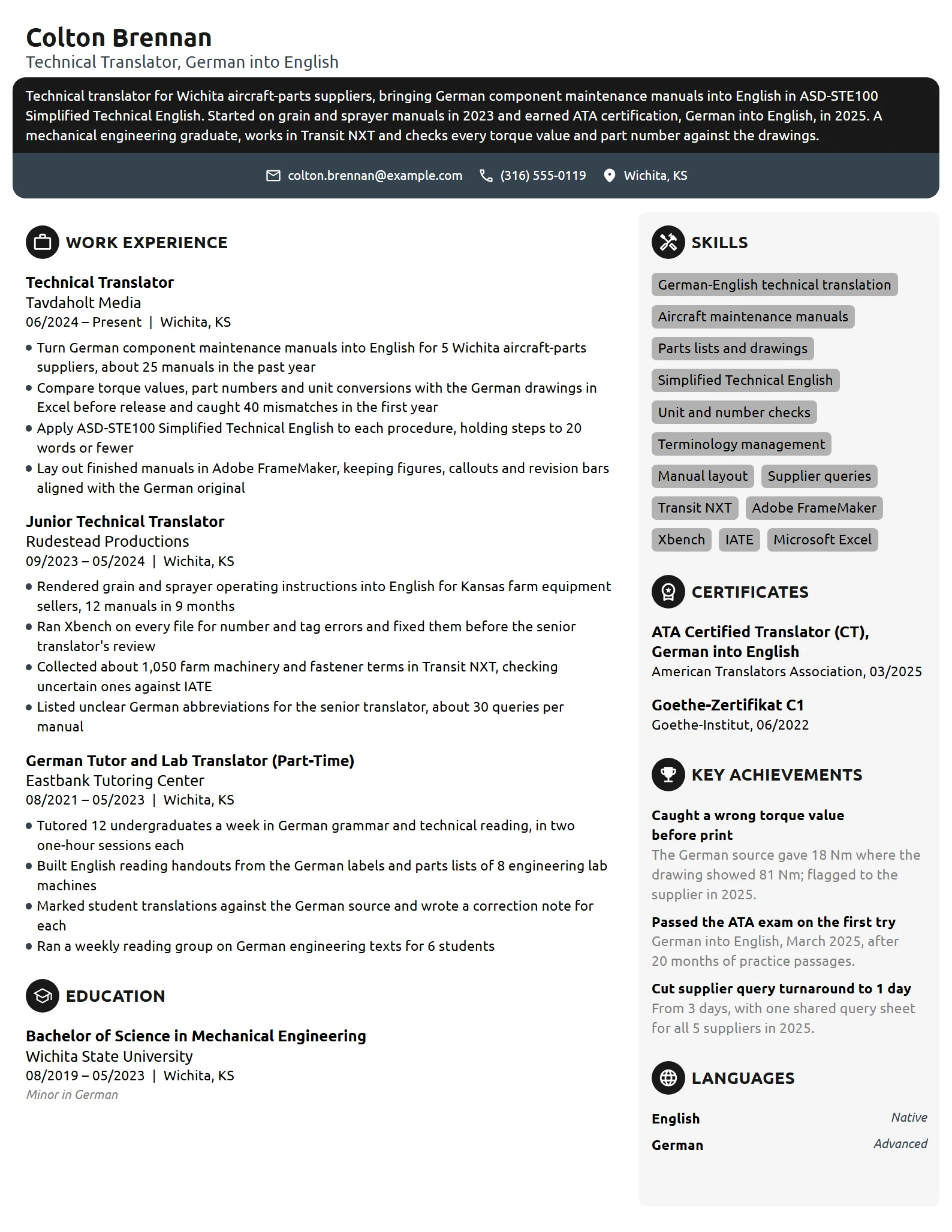 Technical Translator resume example