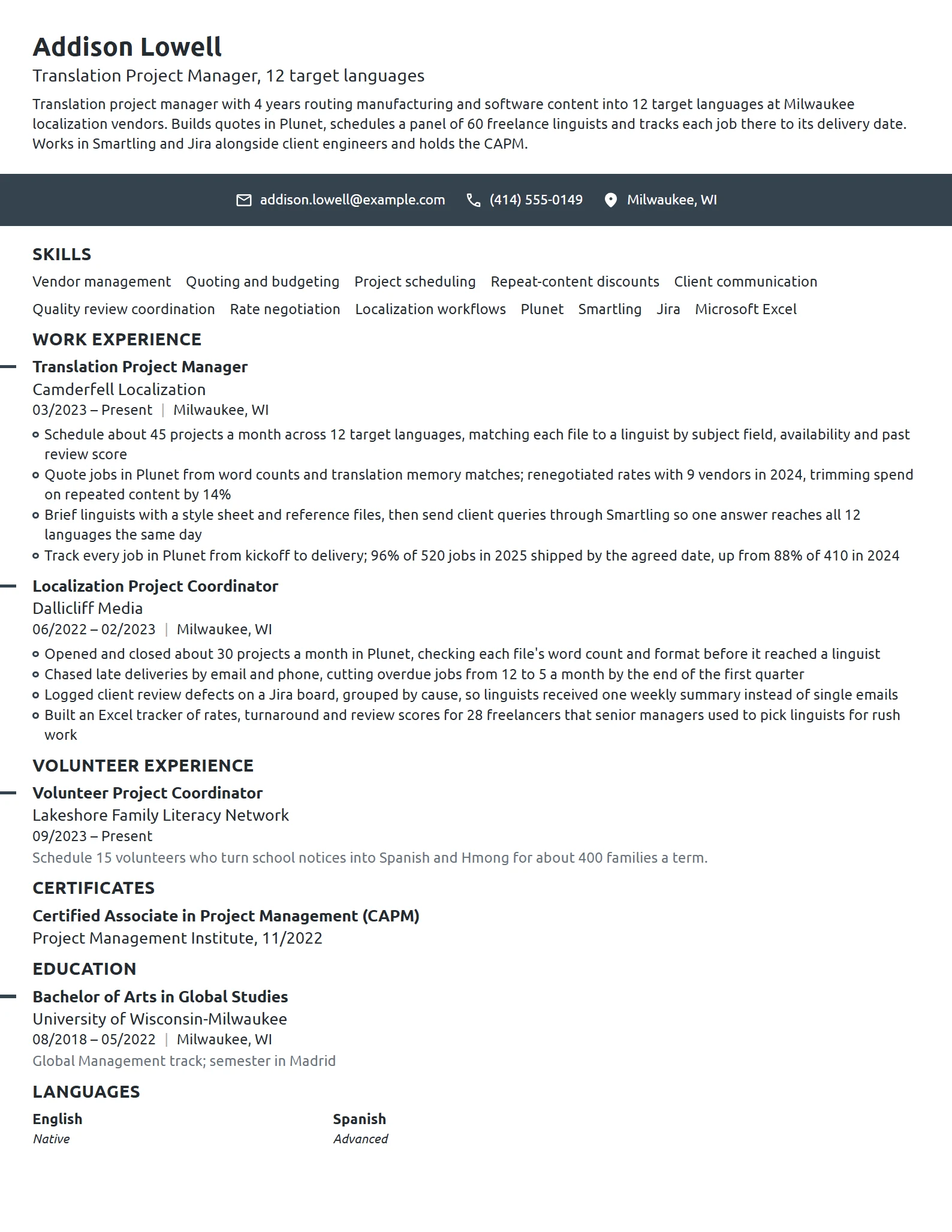 Translation Project Manager resume example