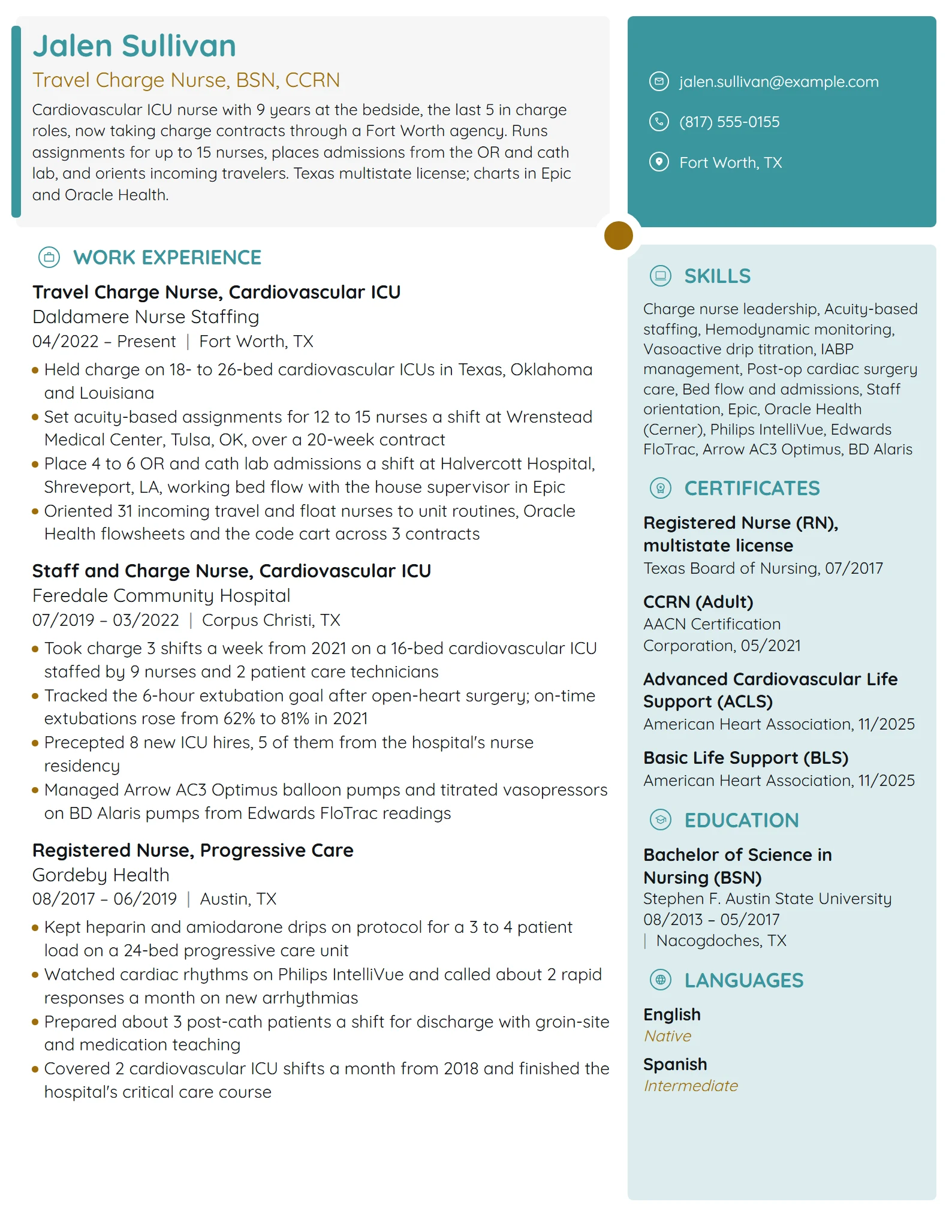 Travel Charge Nurse resume example