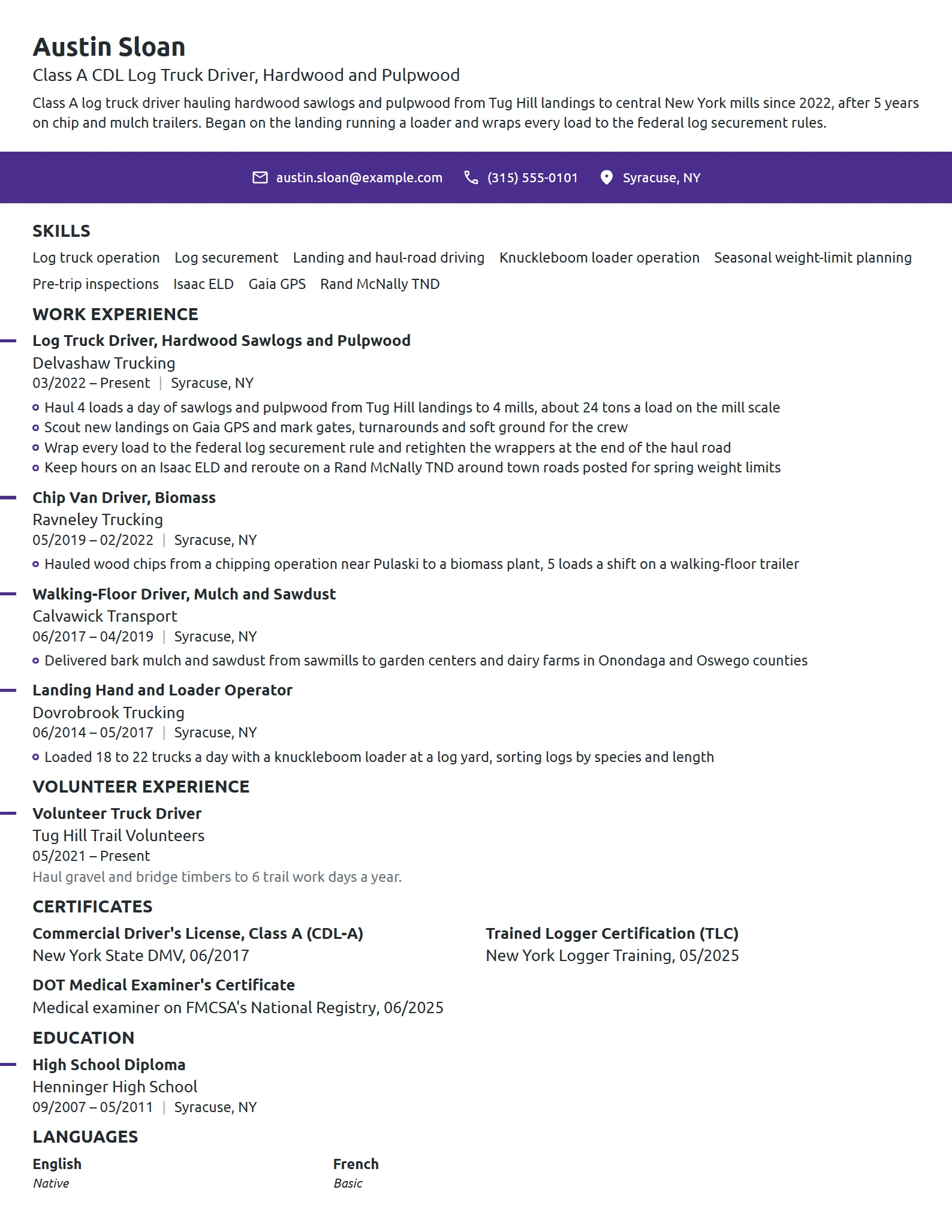 Logging Truck Driver resume example