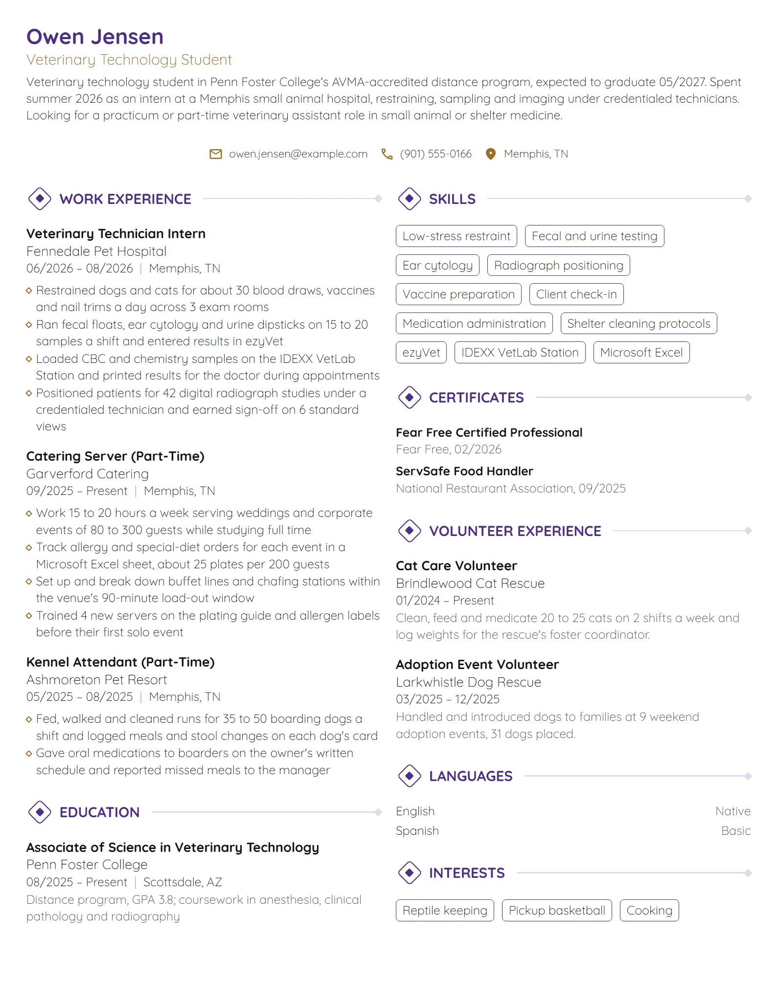 Veterinary Technician Intern resume example