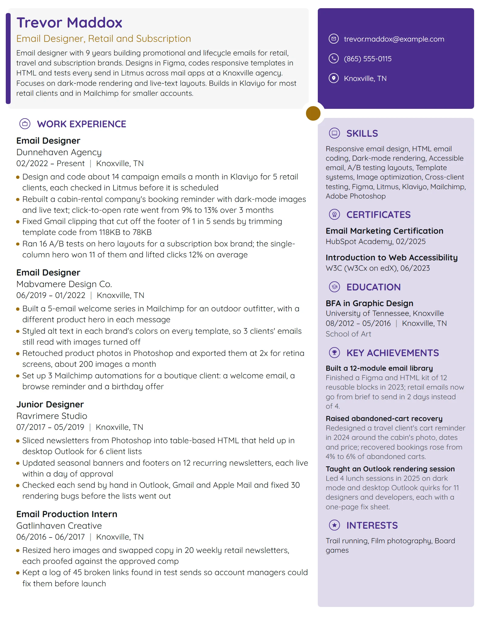 Email Designer resume example